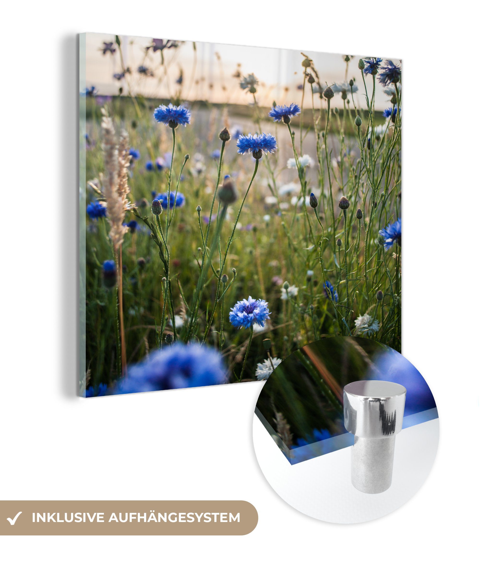 MuchoWow Acrylglasbild Blumen - Sommer - Kornblume - Blau - Sonne - Wolken, (1 St), Glasbilder - Bilder auf Glas Wandbild - Foto auf Glas - Wanddekoration bunt