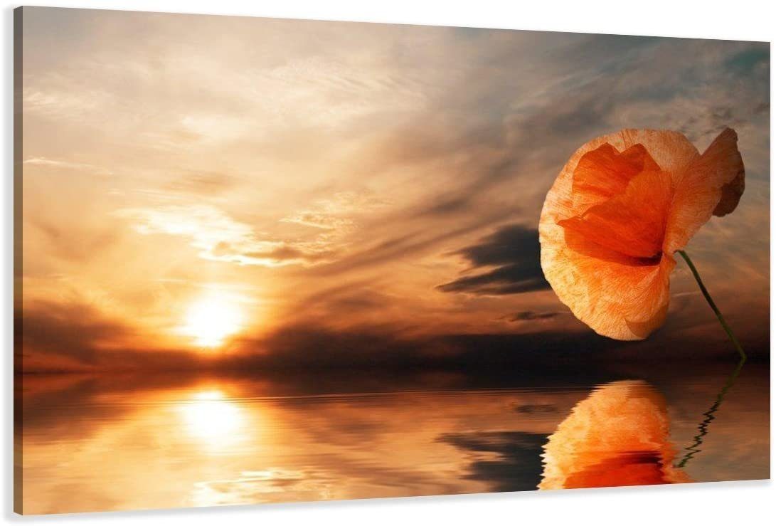 Visario Bild Bild auf Leinwand fertig günstig online kaufen