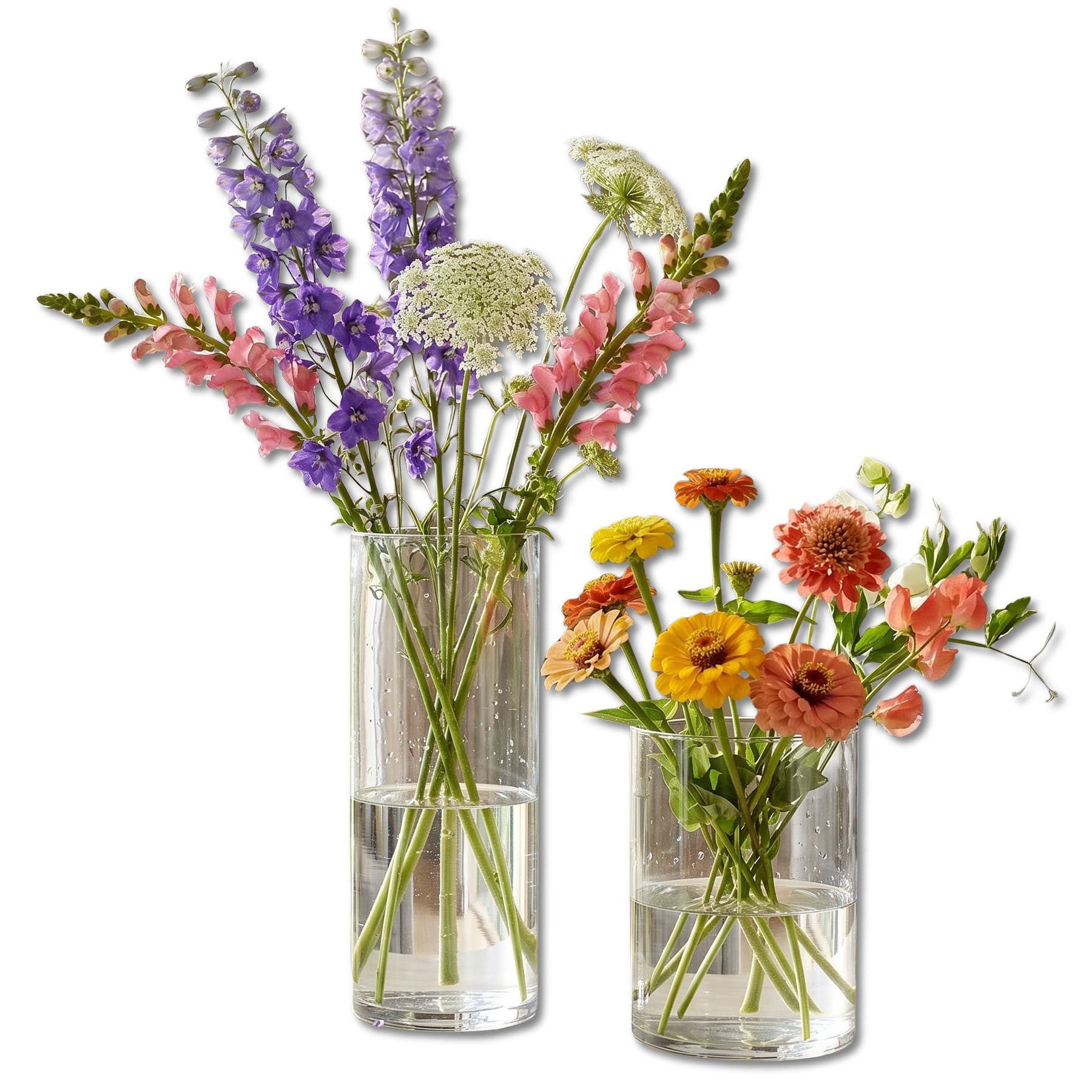 Dekoleidenschaft Dekovase "Puro" aus Glas, klar, Blumenvase 15 + 25 cm hoch, Glasvase, Tischvase (2 St., im Set)