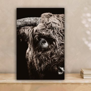OneMillionCanvasses® Leinwandbild Schottischer Highlander - Kuh - Stier, (1 St), Leinwandbild fertig bespannt inkl. Zackenaufhänger, Gemälde, 20x30 cm