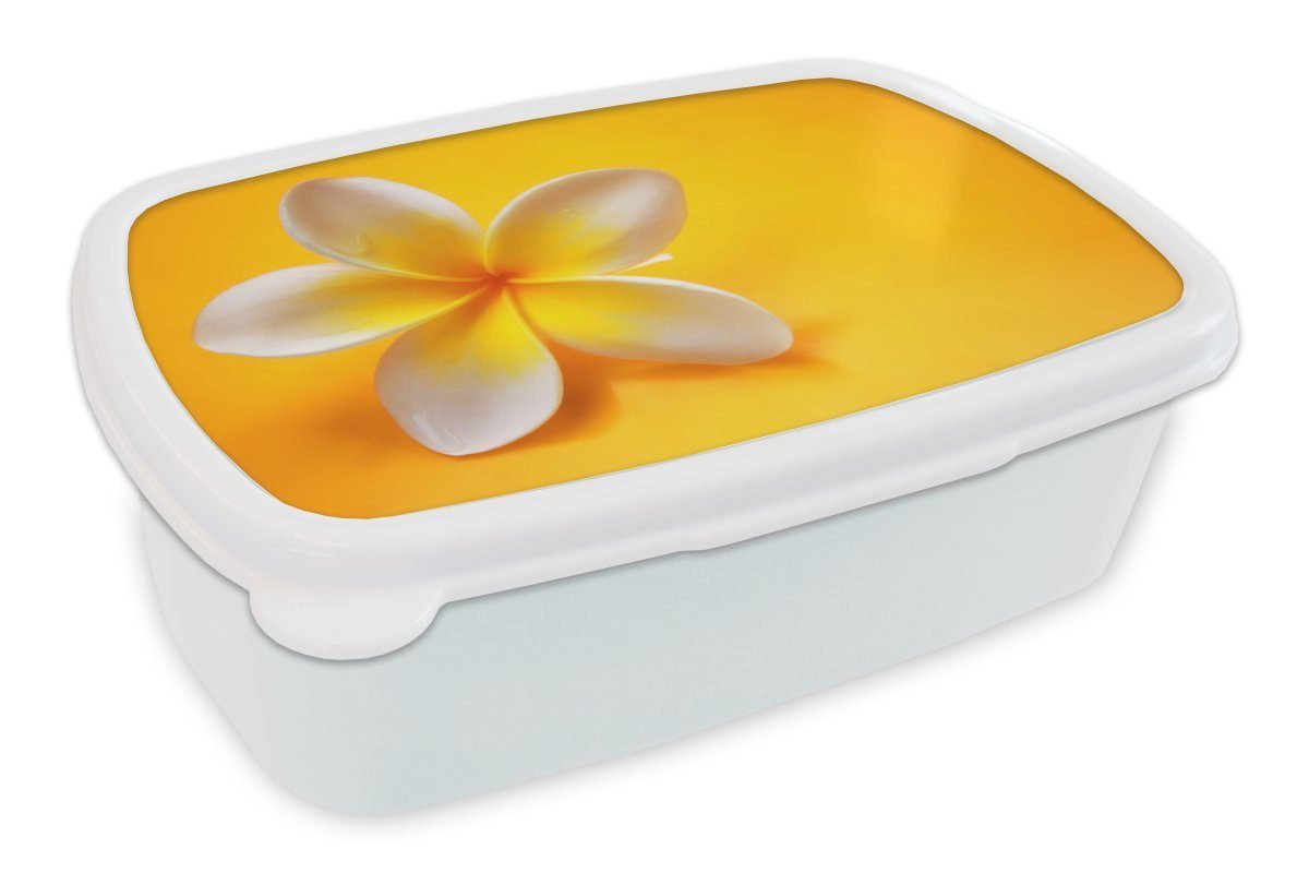 MuchoWow Lunchbox Gelbe Frangipani auf gelbem Hintergrund, Kunststoff, (2-tlg), Brotbox für Kinder und Erwachsene, Brotdose, für Jungs und Mädchen weiß