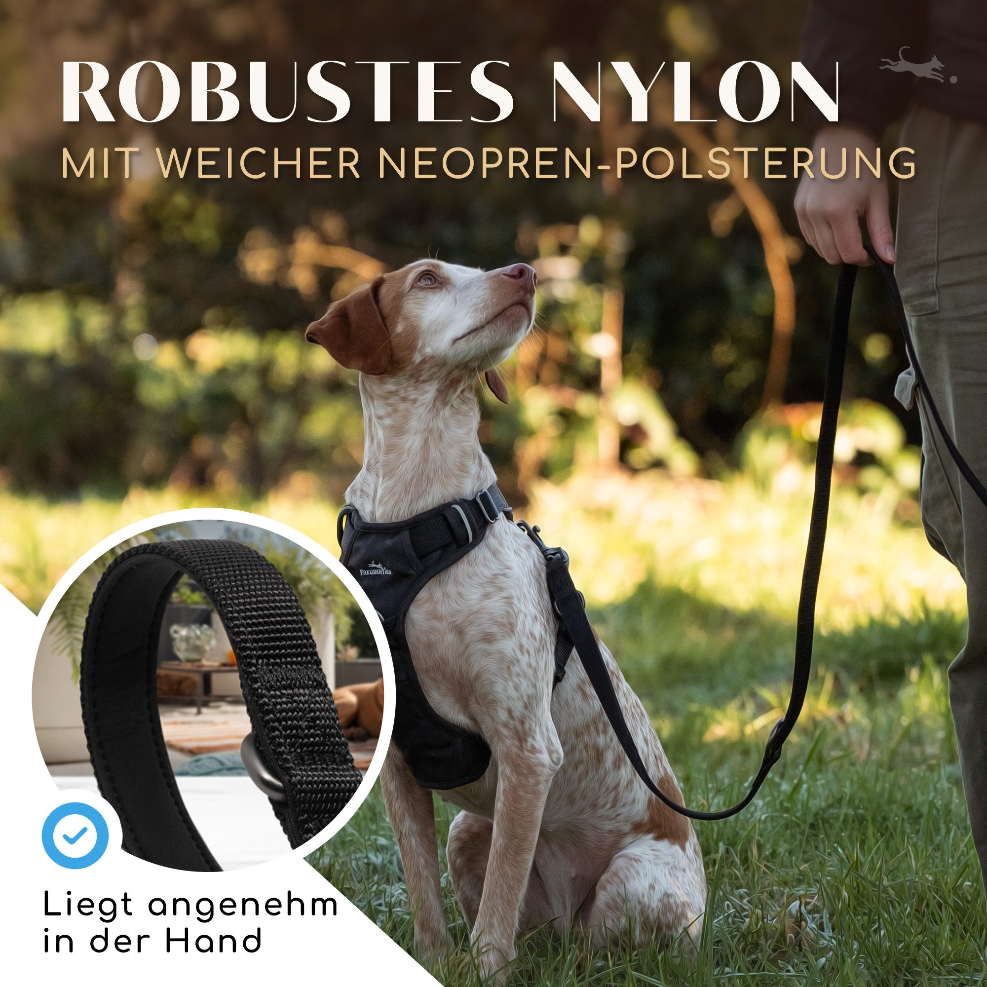 Freudentier Hundeleine 2m, verstellbar & gepolstert, Führleine aus Nylon, für mittelgroße & große Hunde