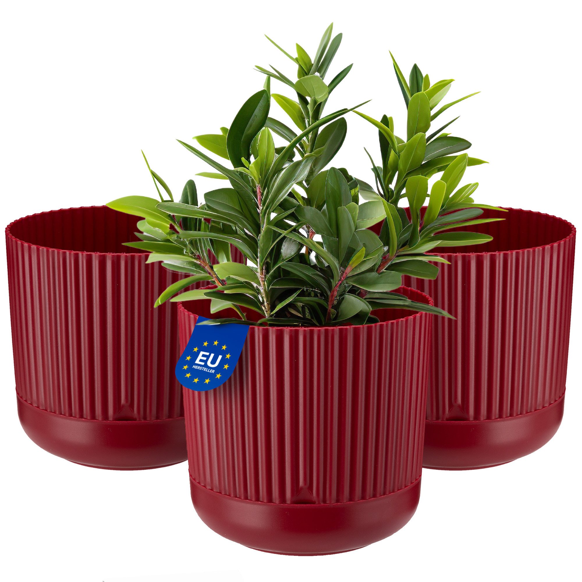 KONZEPT Blumentopf mit Untersetzer, 16 cm günstig online kaufen