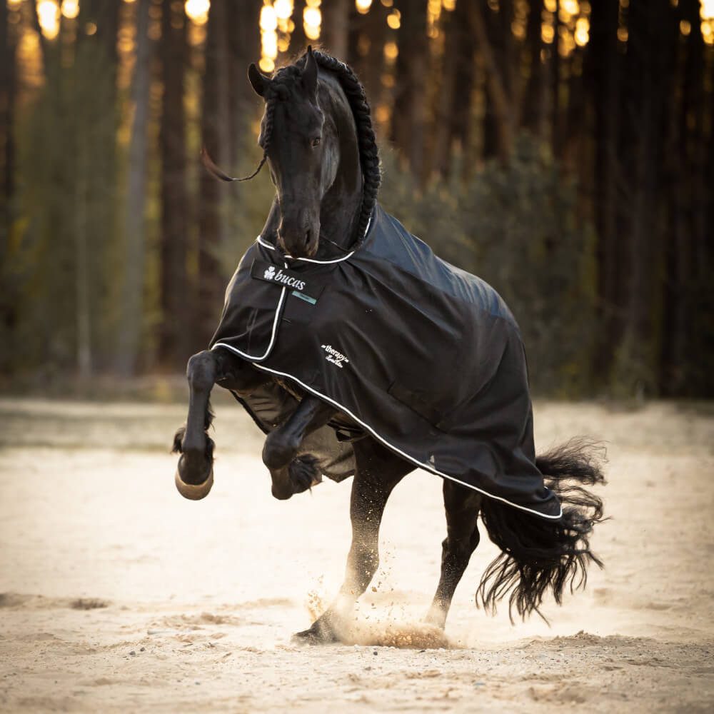 Horse Guard Cooler Decke für Pferde - schwarz - 155 cm Abschwitzdecke Pferd