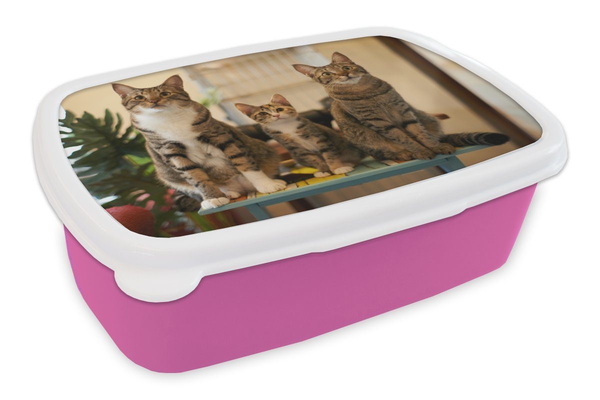 MuchoWow Lunchbox Drei Katzen auf kleinem Tisch, Kunststoff, (2-tlg), Brotbox für Erwachsene, Brotdose Kinder, Snackbox, Mädchen, Kunststoff rosa