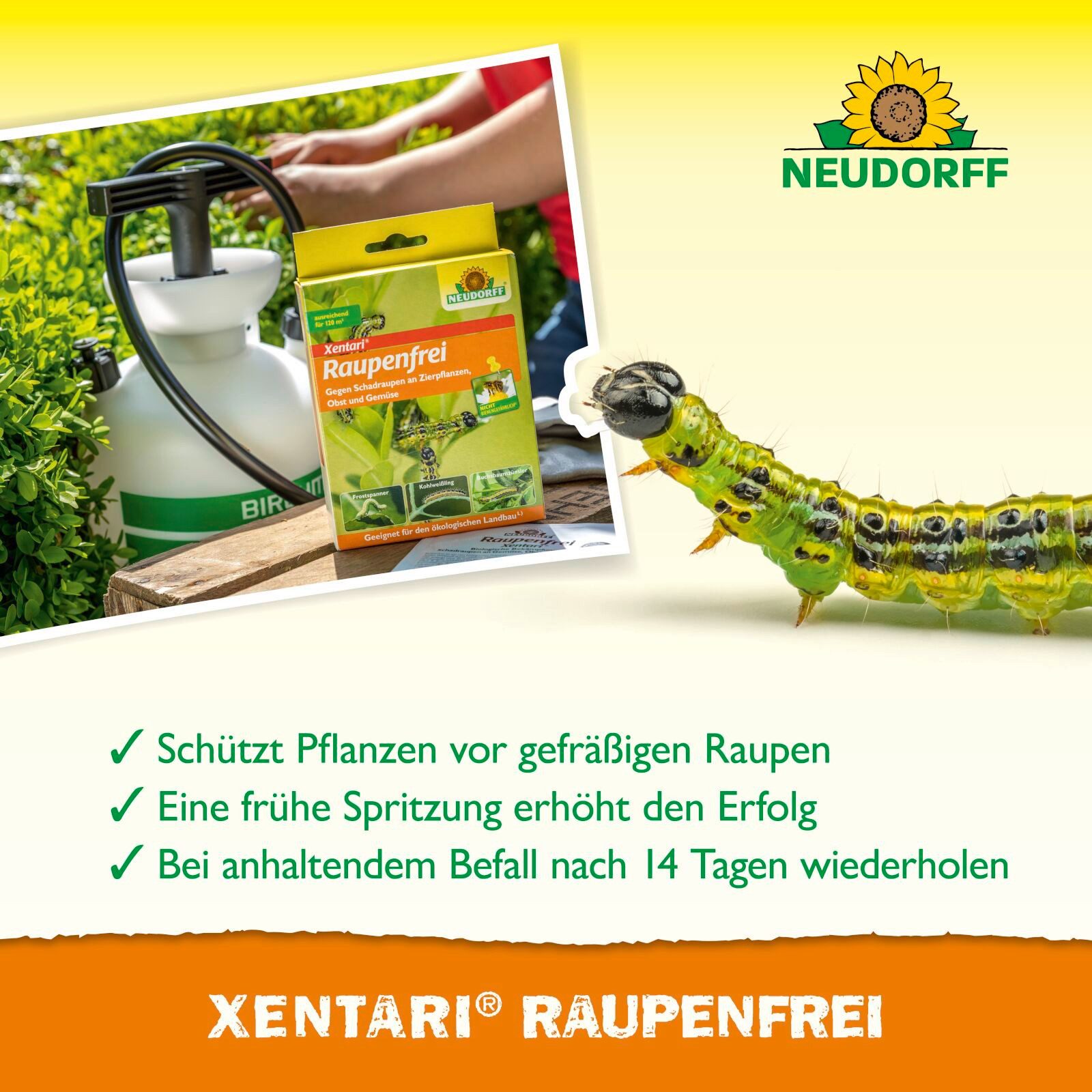 Neudorff Insektenspray Raupenfrei XenTari 25 g, 25 g – Bild 5 von 5