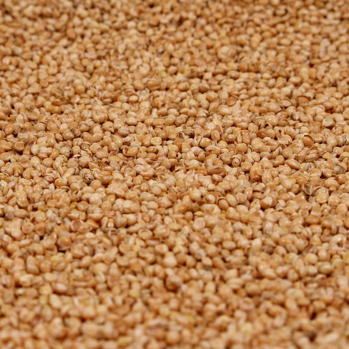 mudis Nackenstützkissen, Füllung: Bio Hirseschalen (kbA), Bezug: Baumwolle (Bio), Rückenschläfer, Füllung variabel