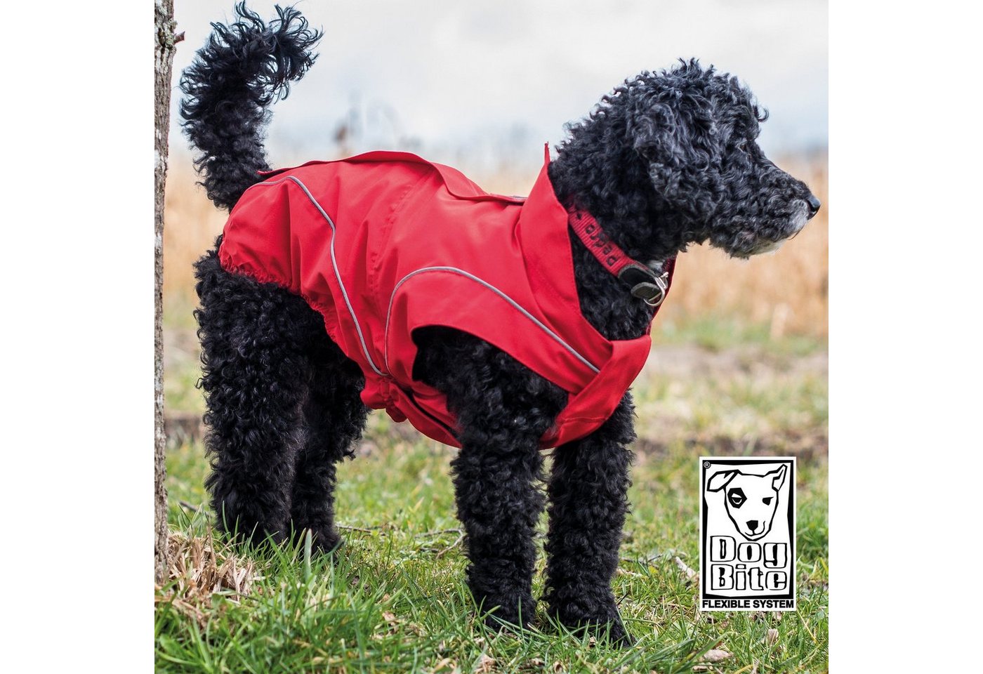 Thumbnail - DogBite Hundemantel Hunde - Winterjacke - gefüttert - pflegeleicht, in versch. Größen