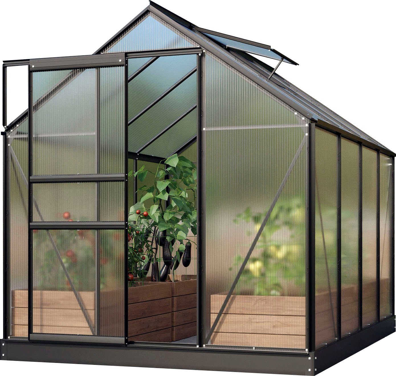 Vitavia Gewächshaus Venus 5000, BxTxH: 195 x 257 x 197 cm, 4 mm Wandstärke, Alu-Profile, 4 mm Hohlkammerplatten