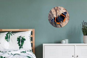 MuchoWow Gemälde Admiral Schmetterling auf einem Baumstamm, (1 St), Kreis Wanddekoration Forex, Rundes Wandbild, Wohnzimmer, 30x30 cm