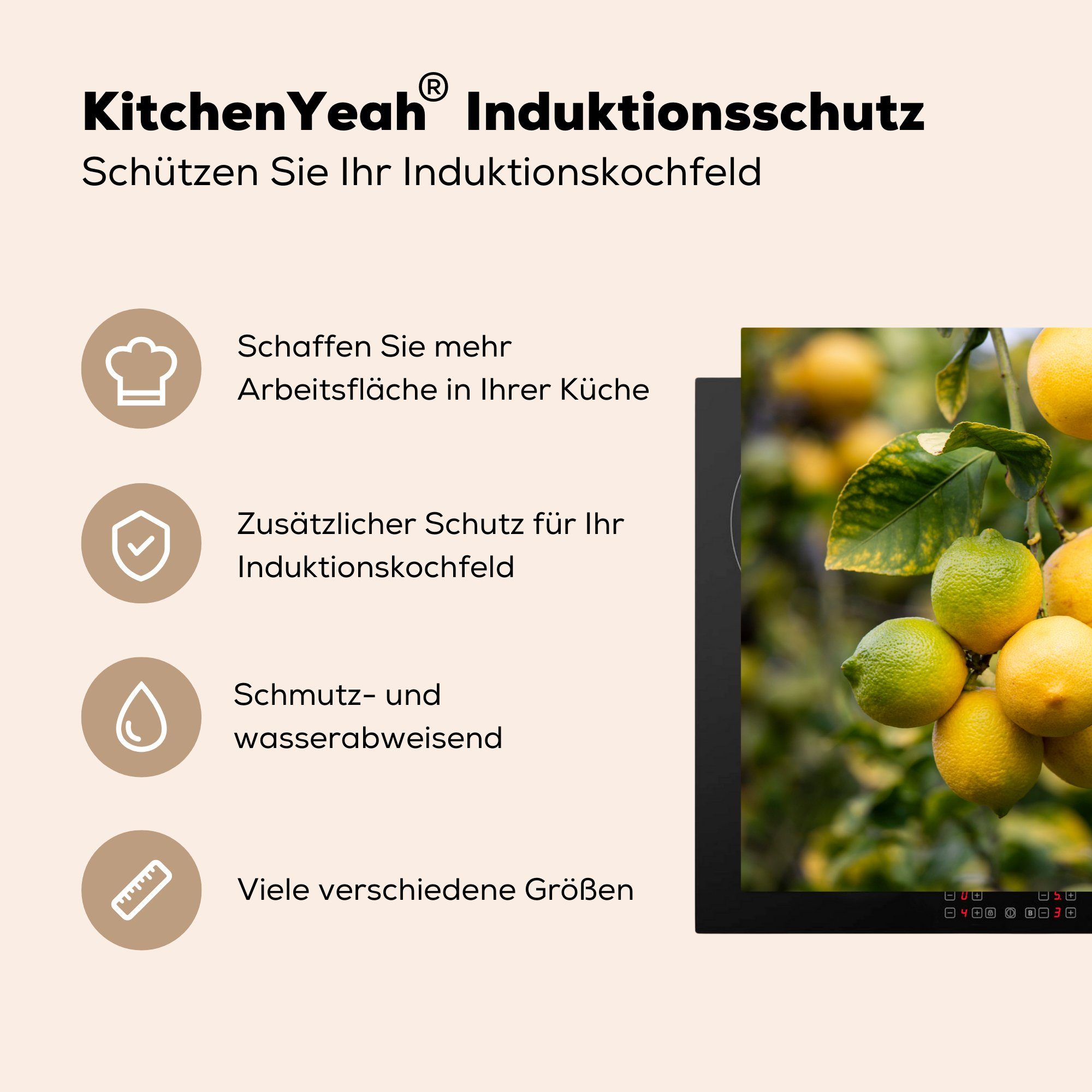 küche, Herdblende-/Abdeckplatte Gelb, cm, Vinyl, Obstbäume - Ceranfeldabdeckung MuchoWow tlg), - Induktionskochfeld Schutz die für Zitronenpflanze 81x52 (1
