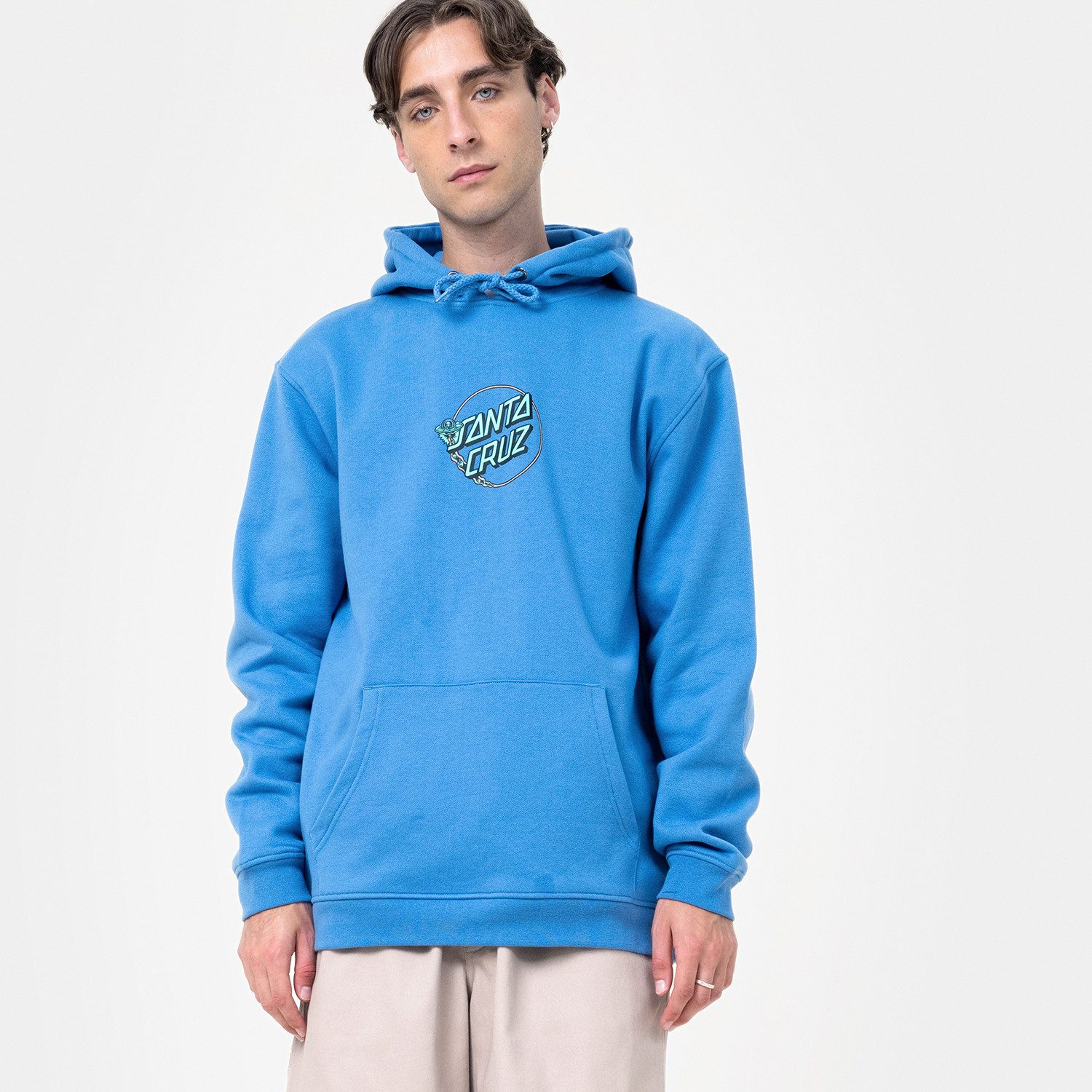 Santa Cruz Kapuzensweatshirt WINKOWSKI DOPE PLANET 2 CENTRE HOOD (1-tlg) günstig online kaufen