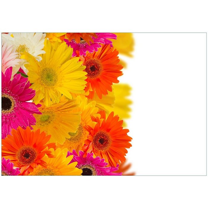 Wallario Vliestapete Bunte Gerberas vor weißem Hintergrund - pinke gelbe rote und weiße Blüten Seidenmatte Oberfläche hochwertiger Digitaldruck in verschiedenen Größen erhältlich