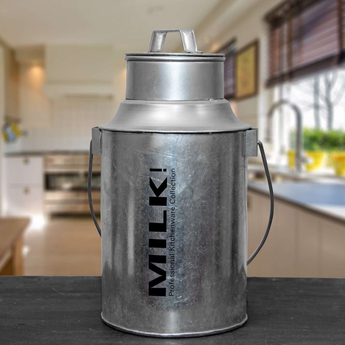 Antikas Wanddekoobjekt Milchkanne aus Zink, Blumenvase Zinkkanne, Blechkanne als