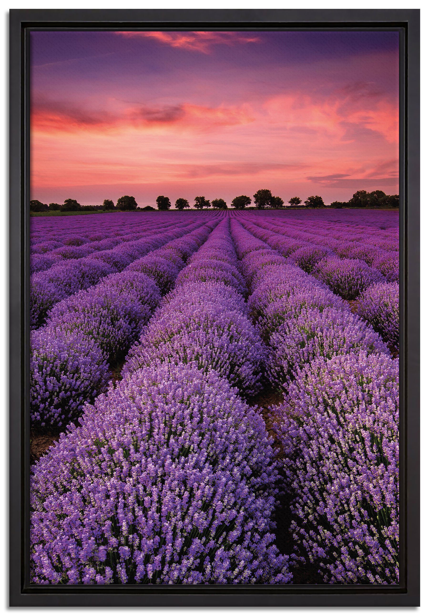 Pixxprint Leinwandbild Wunderschöne Lavendel Provence, Wanddekoration (1 St), Leinwandbild fertig bespannt, in einem Schattenfugen-Bilderrahmen gefasst, inkl. Zackenaufhänger