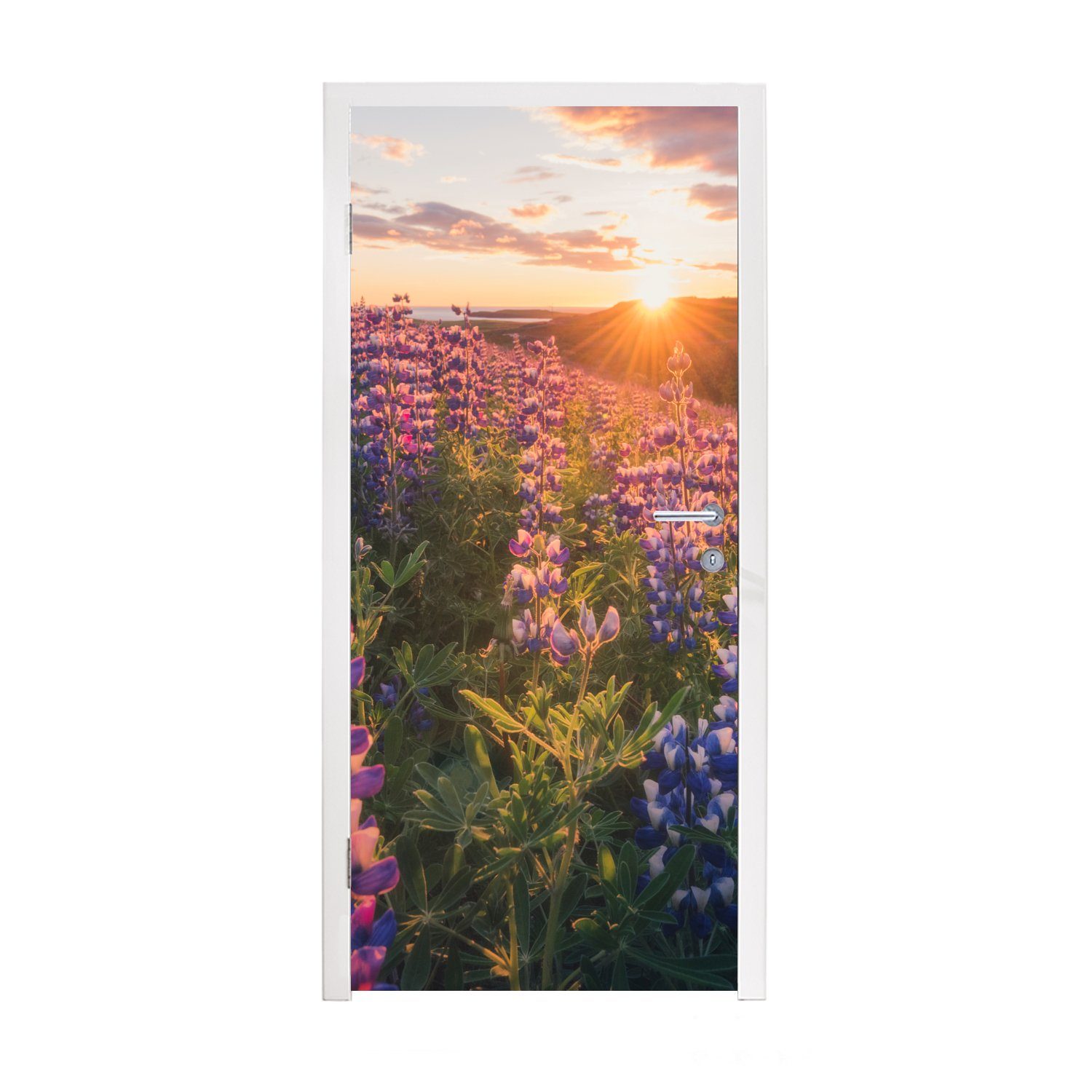 MuchoWow Türtapete Lupine - Sonne - Lila, Matt, bedruckt, (1 St), Fototapete für Tür, Türaufkleber, 75x205 cm