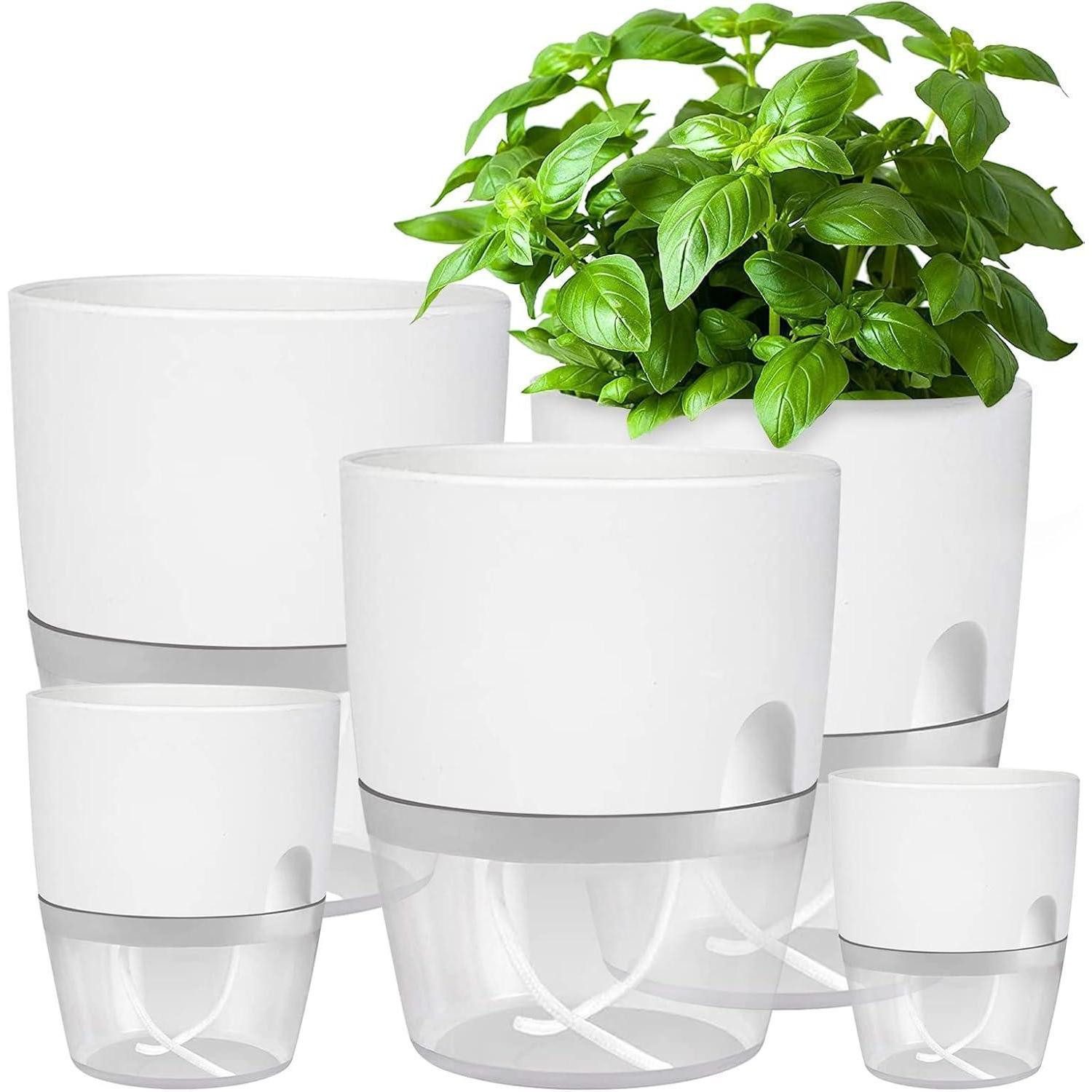 LuxusKollektion Kräutertopf Blumentopf Kräutertopf Küche Set Bewässerungssystem 5er-Set