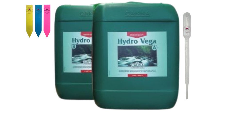 Canna Pflanzendünger Canna Hydro Vega, 2-St. günstig online kaufen