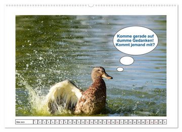 CALVENDO Wandkalender Tierisch - Süßes, Witziges. (Premium, hochwertiger DIN A2 Wandkalender 2023, Kunstdruck in Hochglanz)