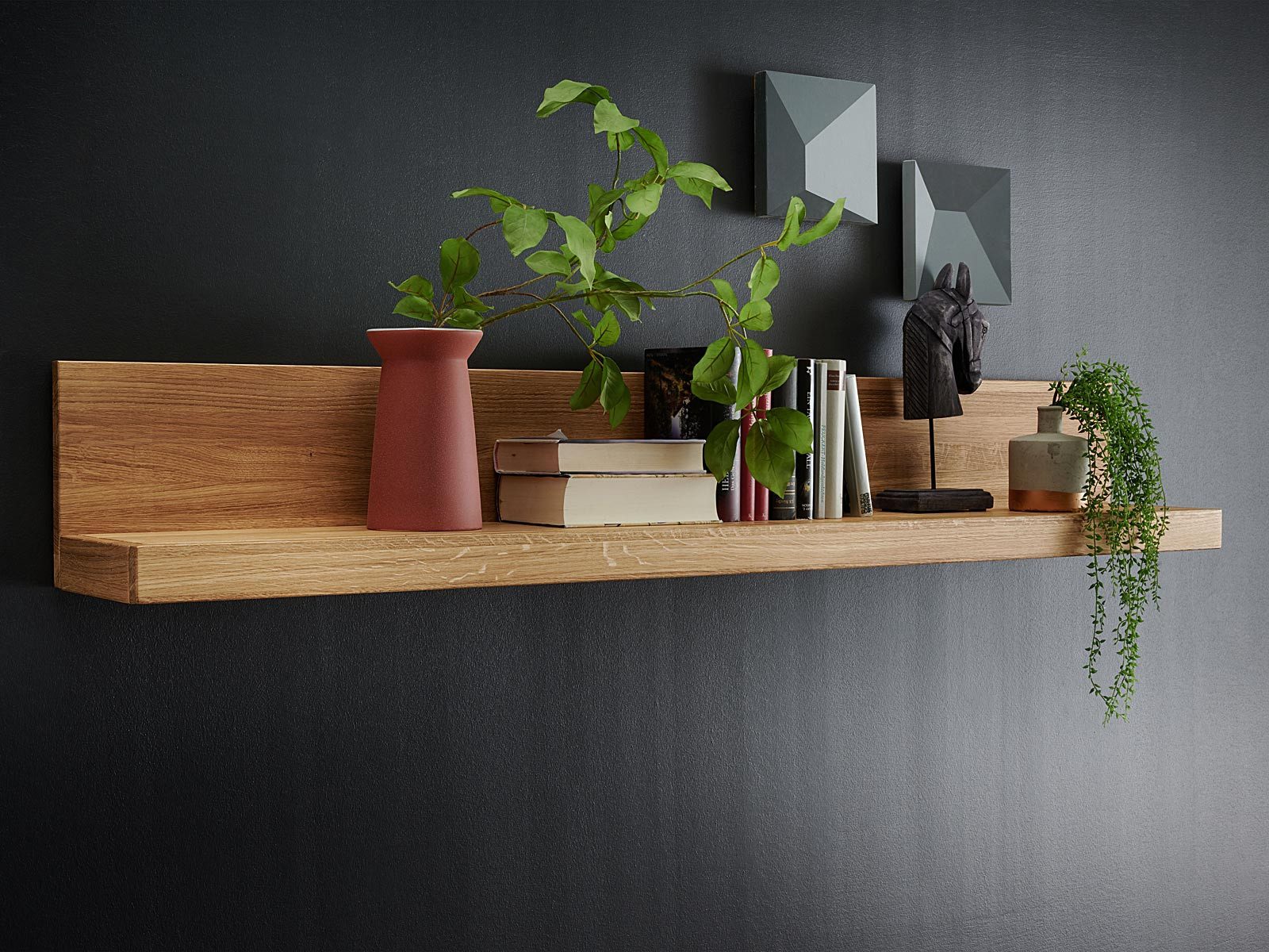 Casamia Wandregal Bücher Regal Wandbord Massivholz B118/170/223cm Faro Wildeiche massiv