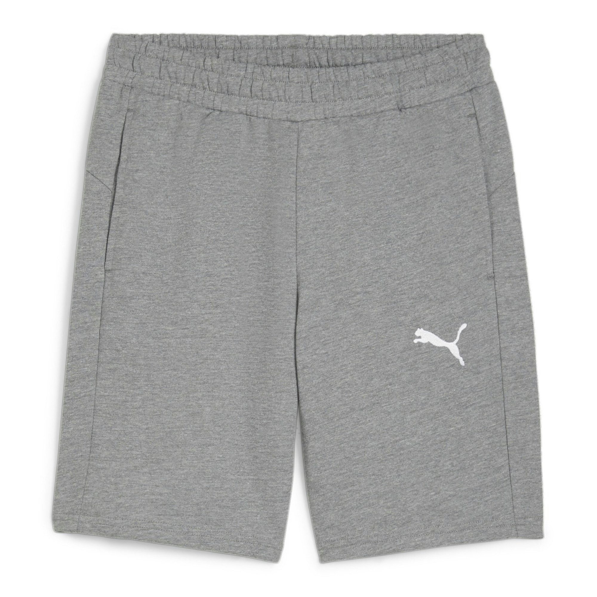 PUMA Trainingsshorts Puma Herren Short teamGOAL Casuals Shorts 658608