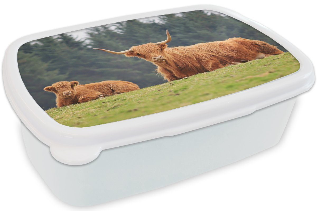 Lunchbox für - Kunststoff, und Jungs (2-tlg), und Gras für Brotdose, - Highlander weiß Kinder Brotbox Erwachsene, Wald, Schottische Mädchen MuchoWow