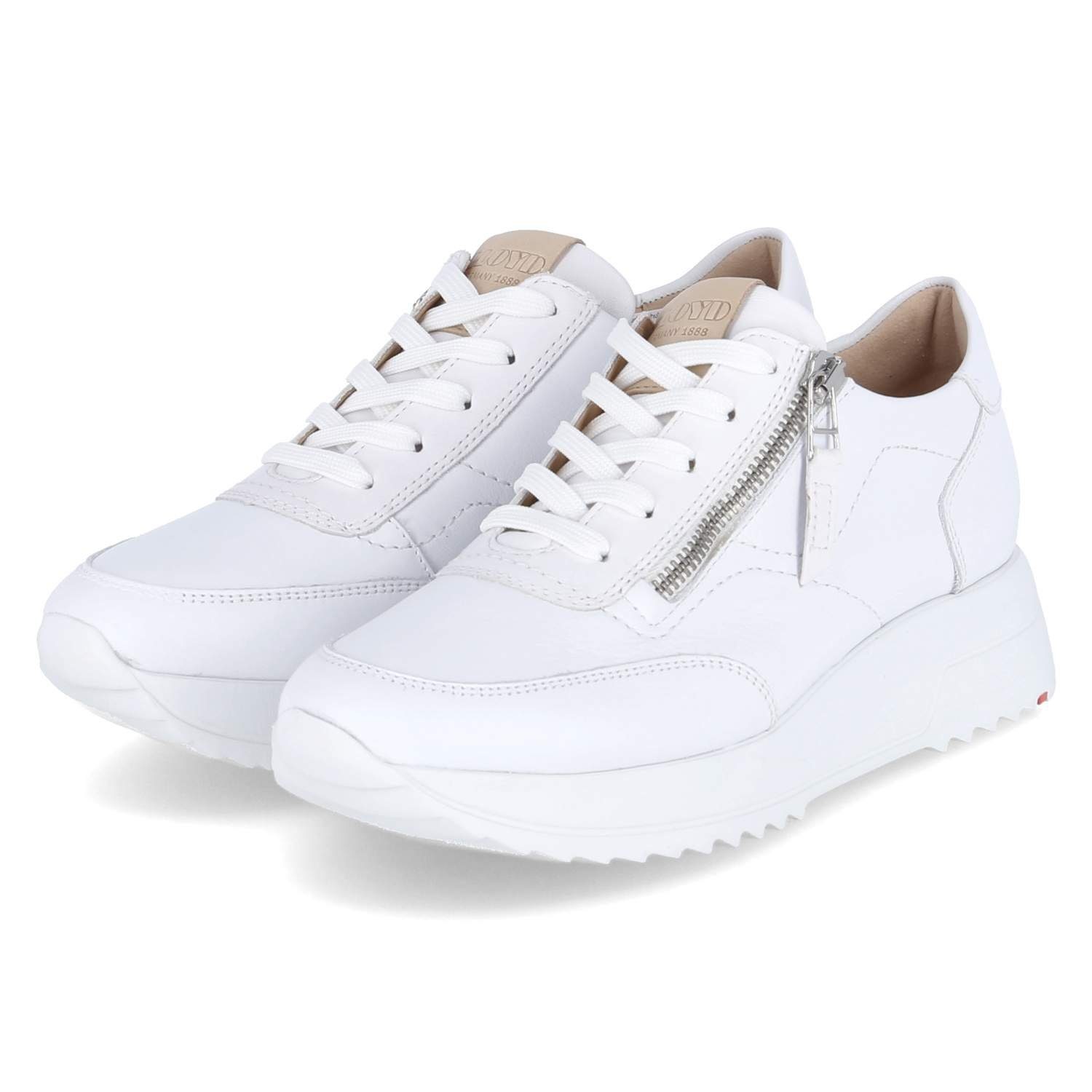 Lloyd Low Sneaker MOMO Sneaker