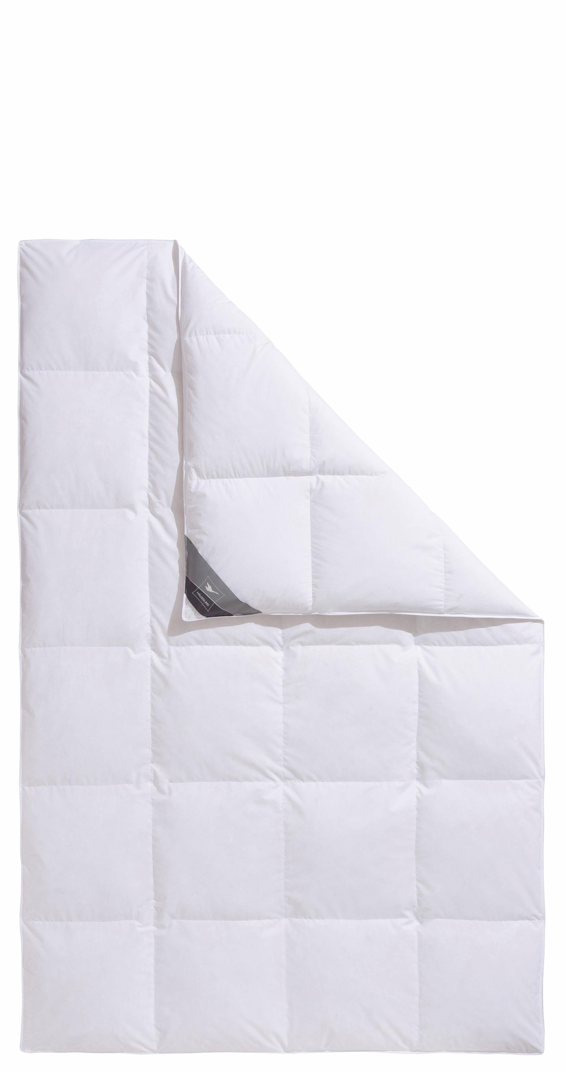 Haeussling Daunenbettdecke + Kopfkissen Kuscheltraum, Set: günstig online kaufen