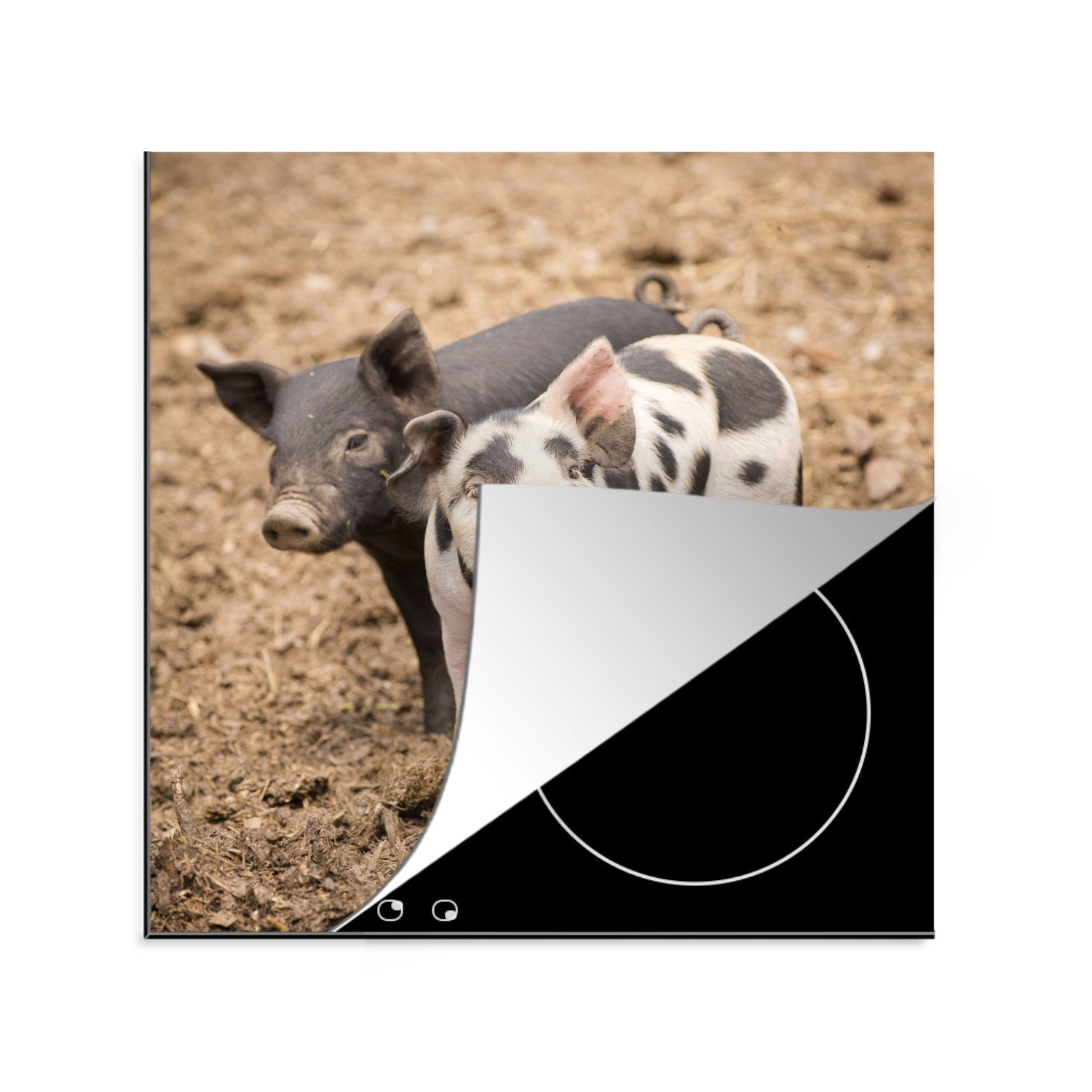 MuchoWow Herdblende-/Abdeckplatte 78x78 Ceranfeldabdeckung, cm, Arbeitsplatte Schwein Tiere tlg), küche für Vinyl, - Bauernhof, - (1