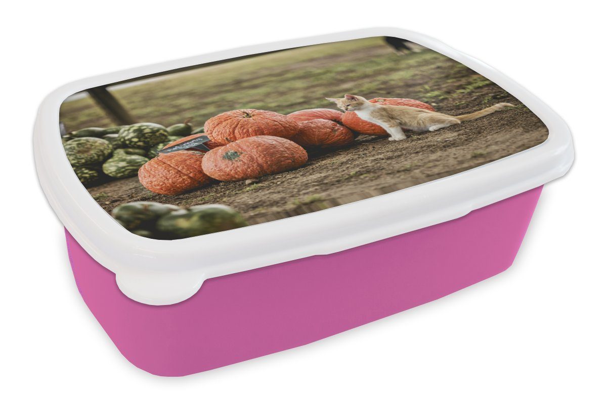 MuchoWow Lunchbox Katze - Schlamm - Kürbis, Kunststoff, (2-tlg), Brotbox für Erwachsene, Brotdose Kinder, Snackbox, Mädchen, Kunststoff rosa