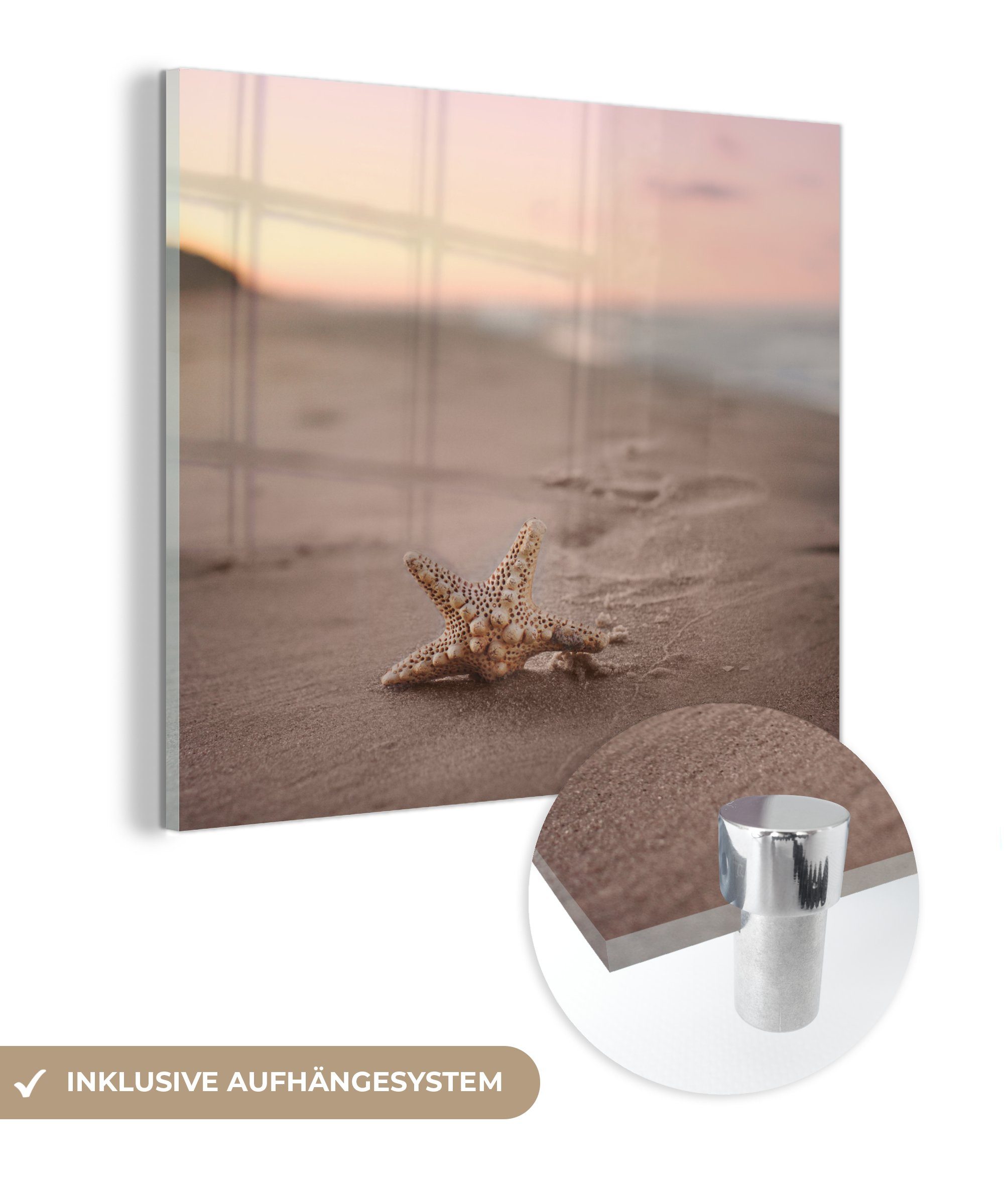MuchoWow Acrylglasbild Seestern - Wandbild Glas auf - Strand Glas auf (1 Foto Glasbilder St), Bilder - - Farben, Wanddekoration 