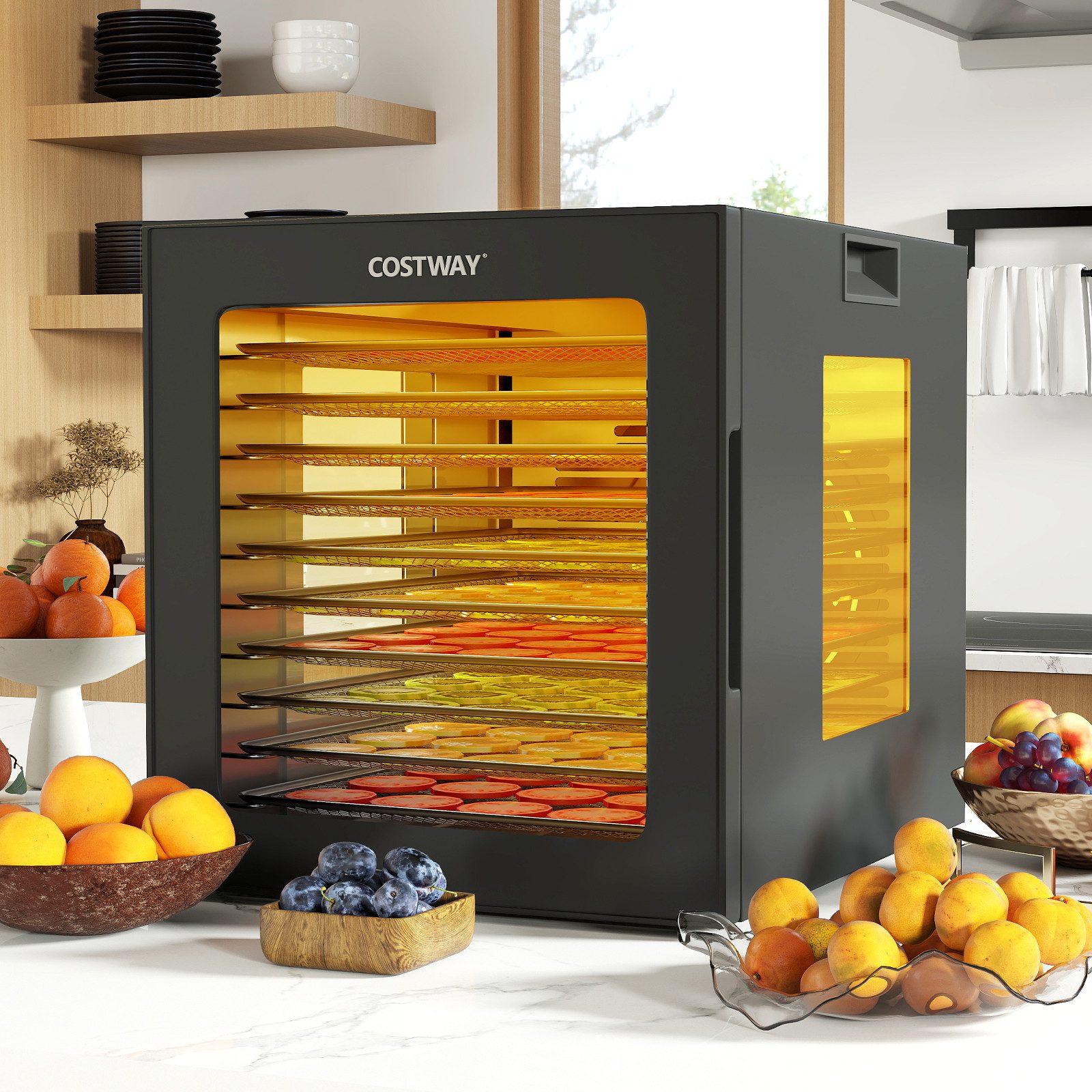COSTWAY Dörrautomat 850 W, 10 Etagen, mit 10 Programmen & 48H Timer, 30-75℃