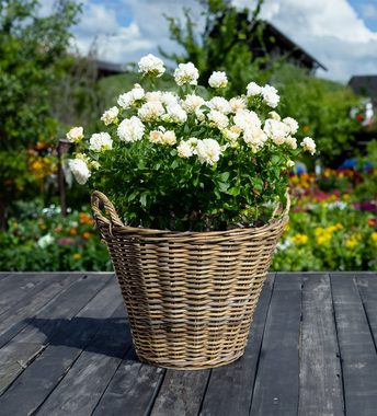 Spetebo Weidenkorb Rattan Pflanzkorb natur mit Henkeln - 34 cm (Packung, 1 St., 1 tlg), Weide Blumenkorb mit Folie