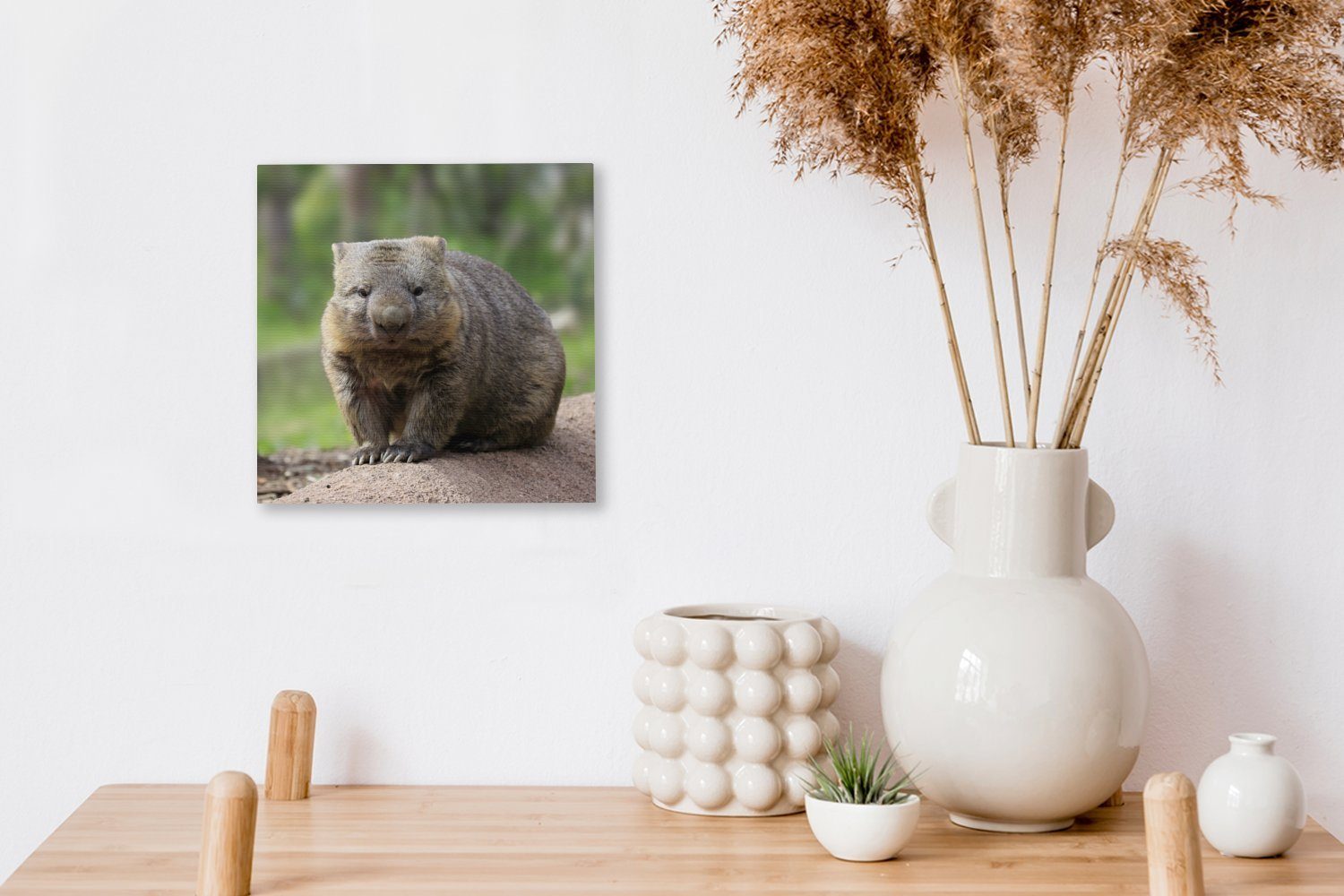 auf Wohnzimmer (1 Ein einem OneMillionCanvasses® Baumstamm, Leinwandbild Bilder für Wombat Leinwand St), Schlafzimmer sitzt