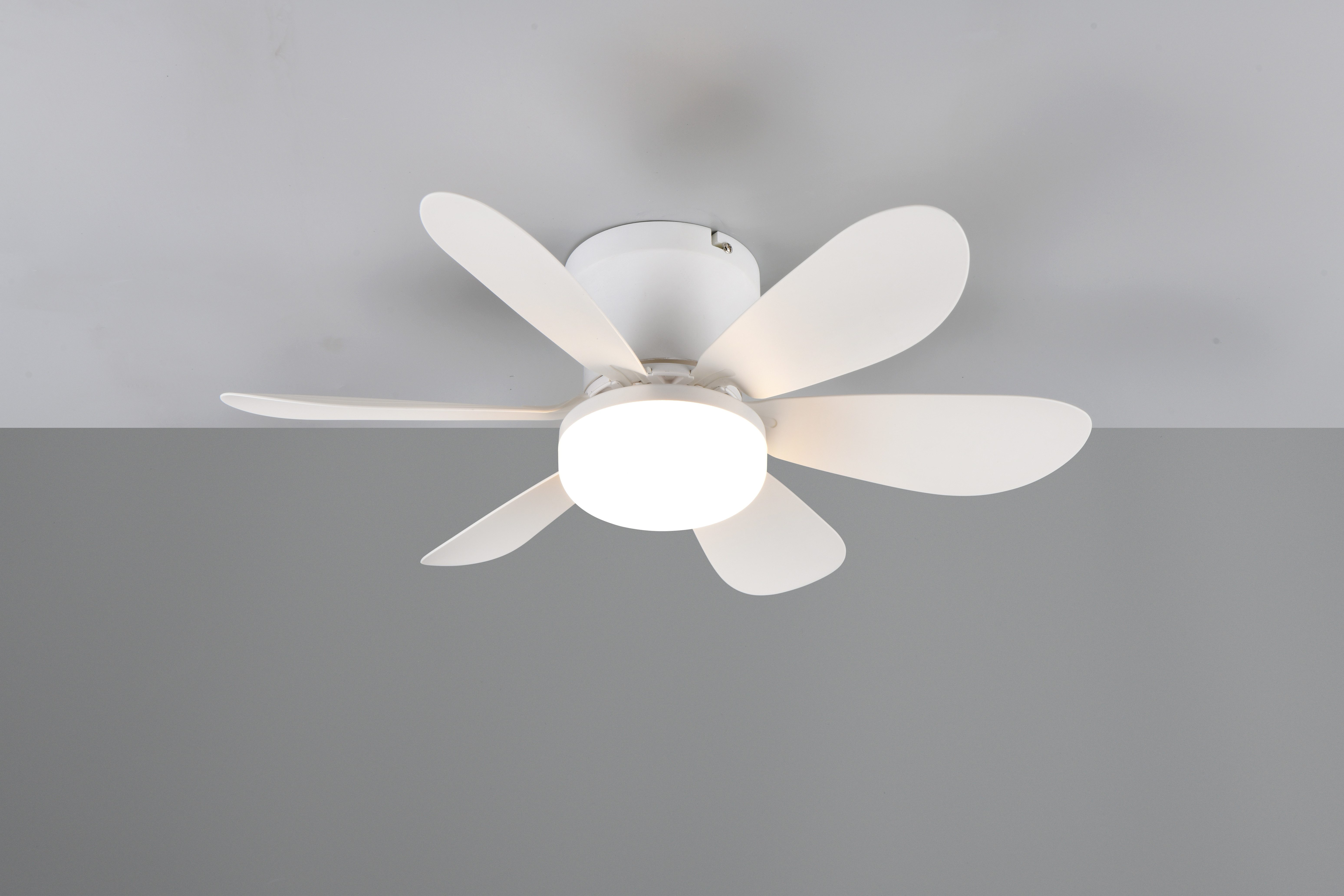 Reality Leuchten LED Deckenleuchte LUND mit Ventilator, Deckenventilator mit Licht inkl Fernbedienung, Ventilatorfunktion, LED fest integriert, warmweiß - kaltweiß, 3 Geschwindigkeiten Timer Vor- & Rücklauf LED dimmbar CCT Nachtlicht