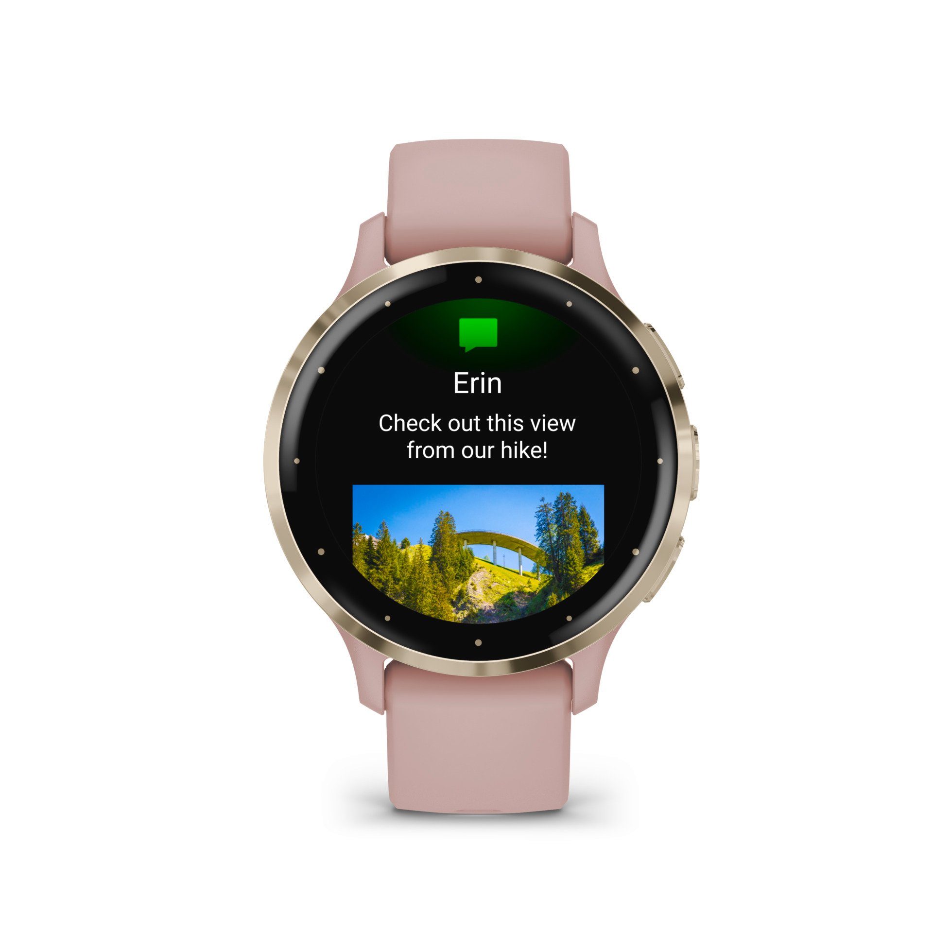 Garmin Venu 3S Gold/Rosa
