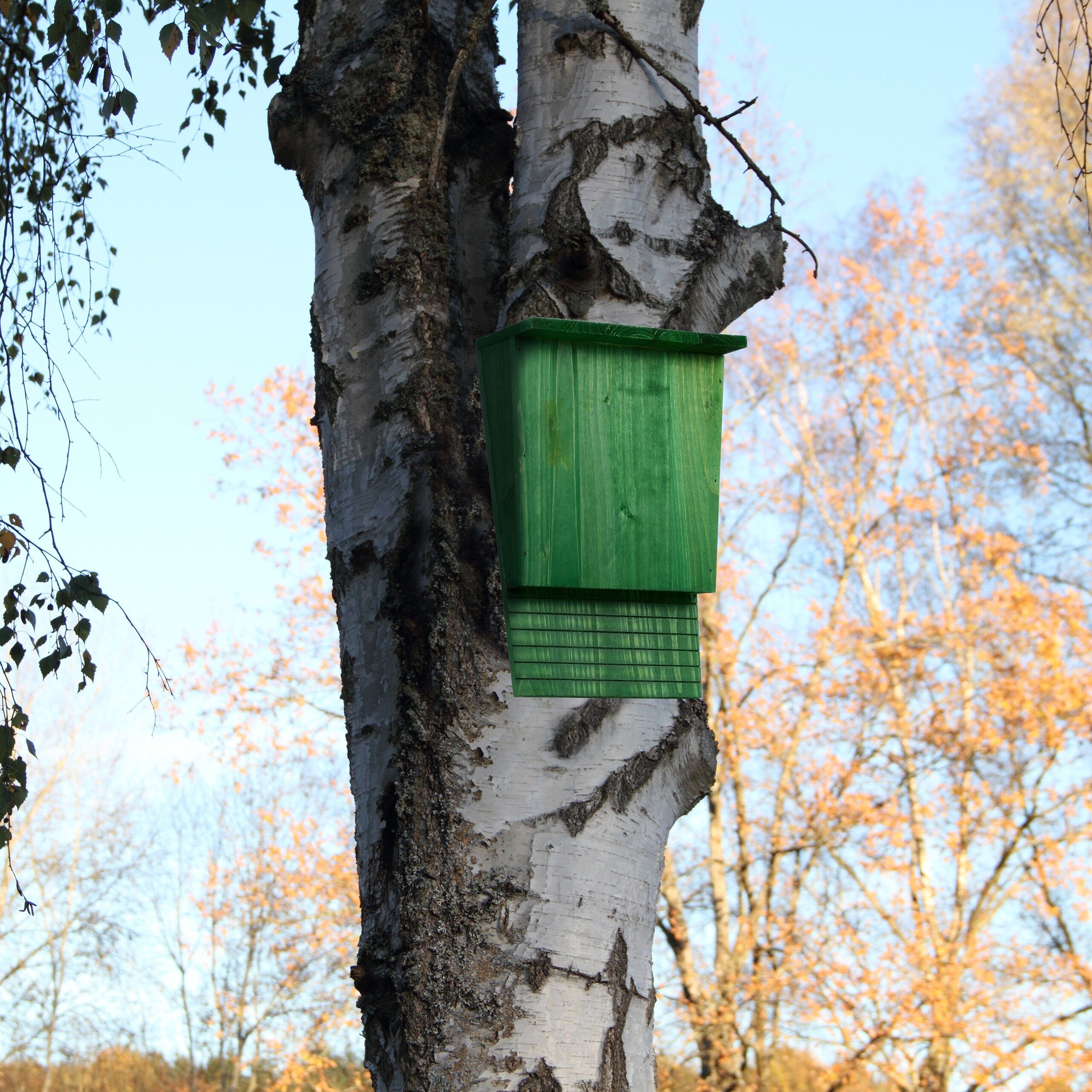 relaxdays Vogelhaus Grüner Fledermauskasten aus Holz günstig online kaufen