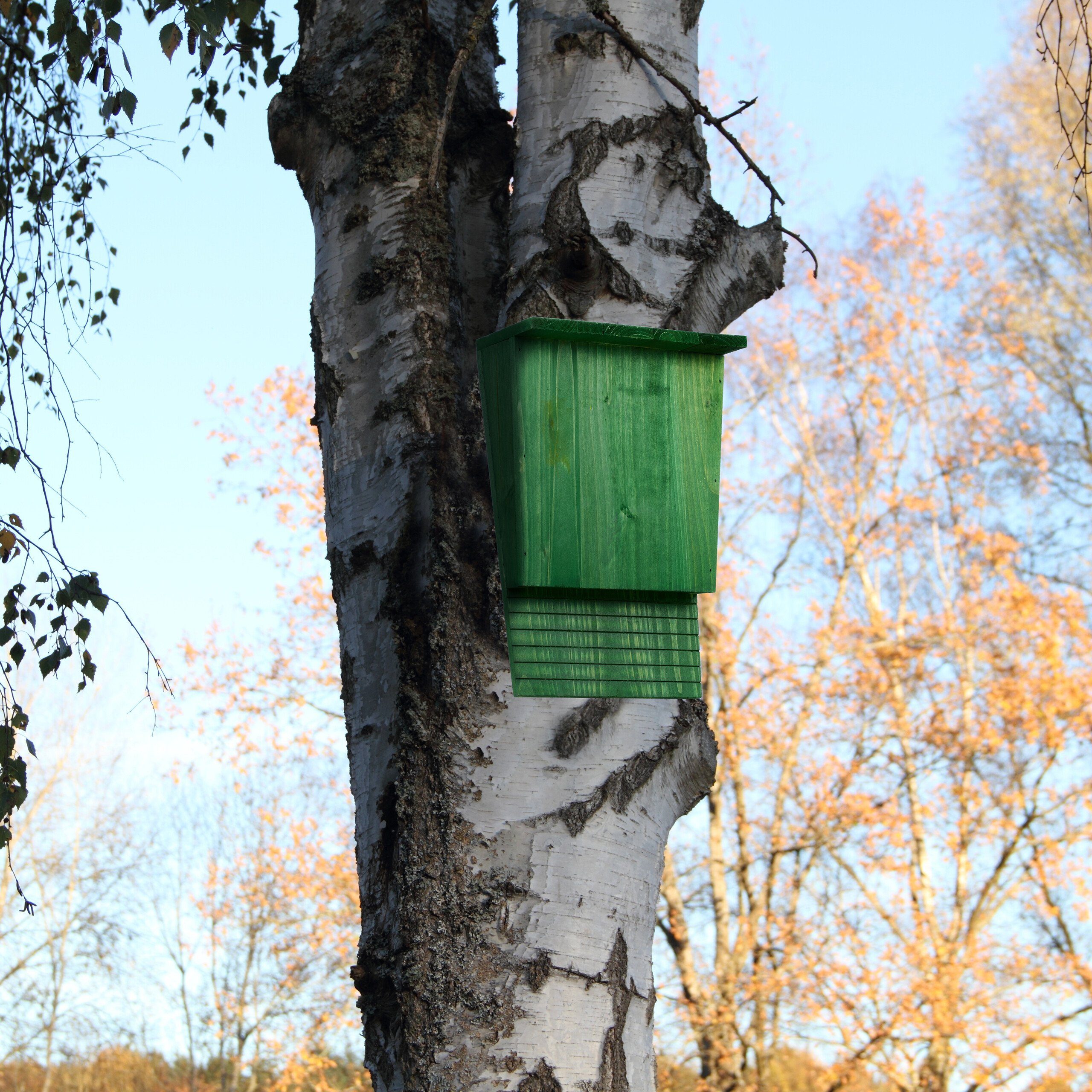 aus Grüner Fledermauskasten Holz relaxdays Vogelhaus