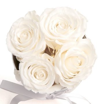 Kunstblume Infinity Rosenbox weiß rund 4 konservierte Rosen inklusiv Geschenkbox Rose, ROSEMARIE SCHULZ Heidelberg, Höhe 10 cm, echte Rosen haltbar 3 Jahre