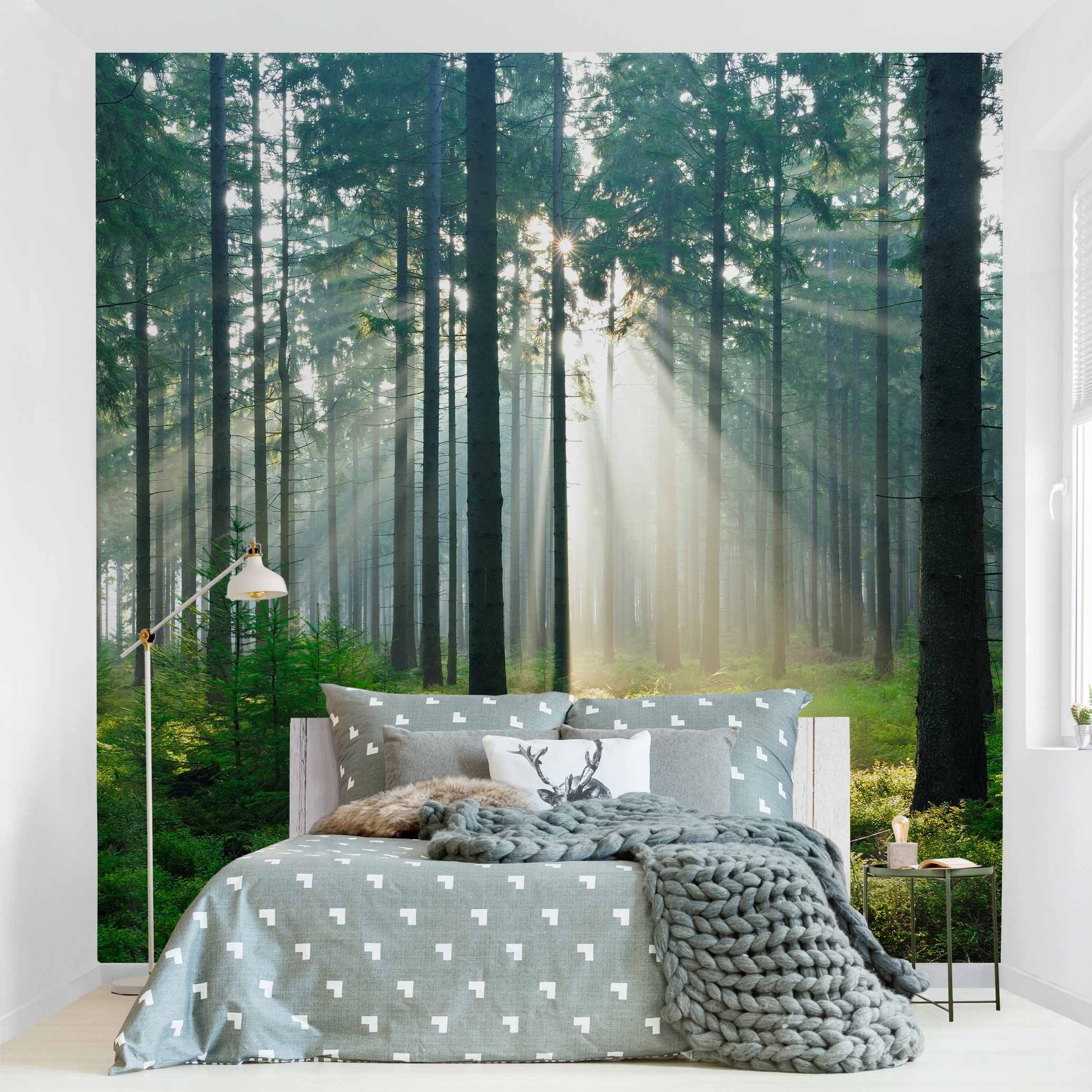 Bilderdepot24 Fototapete Wald Wald Bäume Sonnenaufgang Natur Landschaft Waldtapete Bäume, Glatt, Matt, (Vliestapete inkl. Kleister oder selbstklebend), Wohnzimmer Schlafzimmer Küche Flur Motivtapete Vliestapete Wandtapete