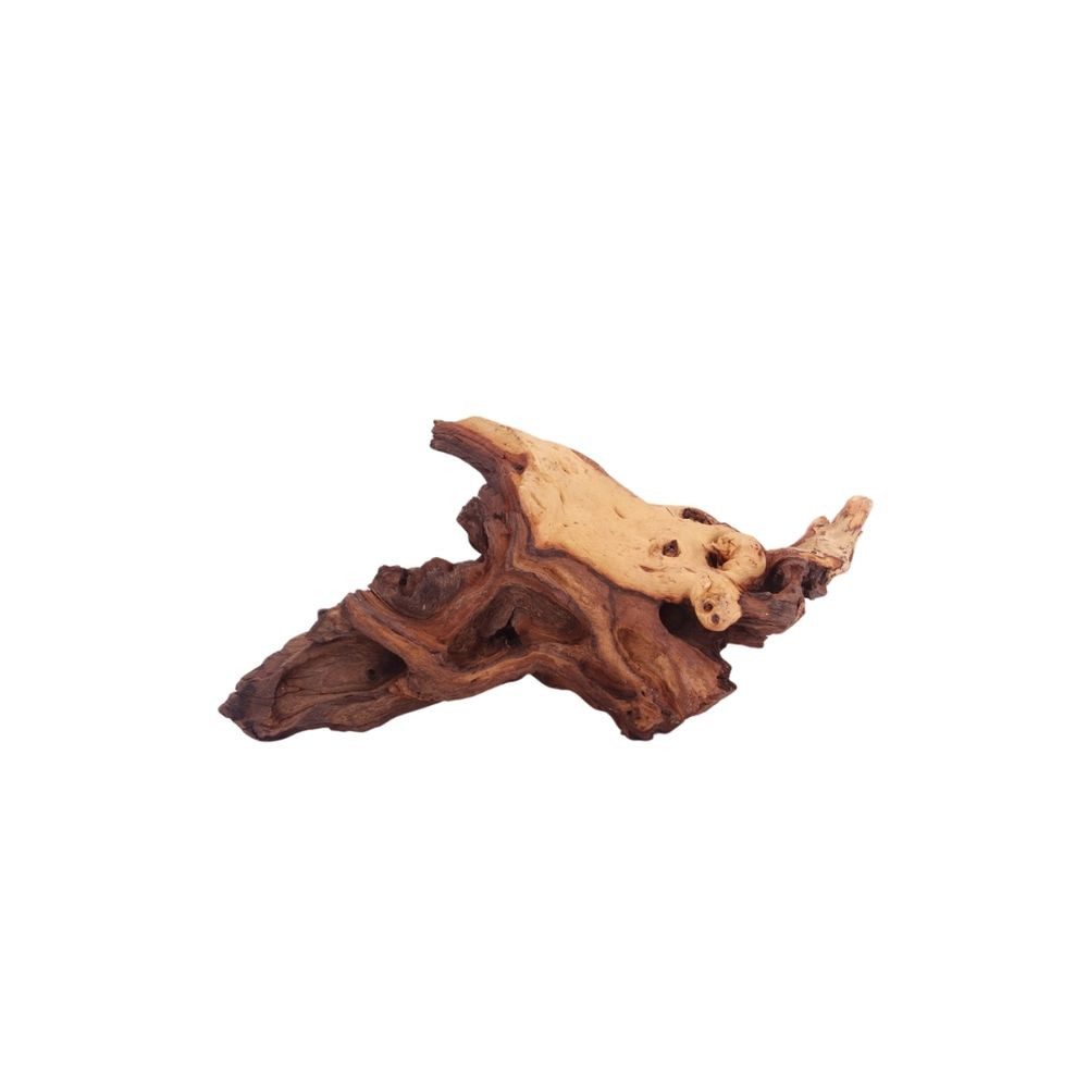 Aquaone Aquarium XL Mopani Wurzel Nr.9384 Holz Deko Aquascaping