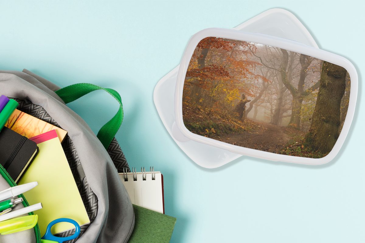 - Erwachsene, Brotbox Laub - und Jungs Lunchbox Bäume, Brotdose, und Mädchen Kunststoff, weiß Wald - Herbst für für Waldweg Kinder (2-tlg), MuchoWow -