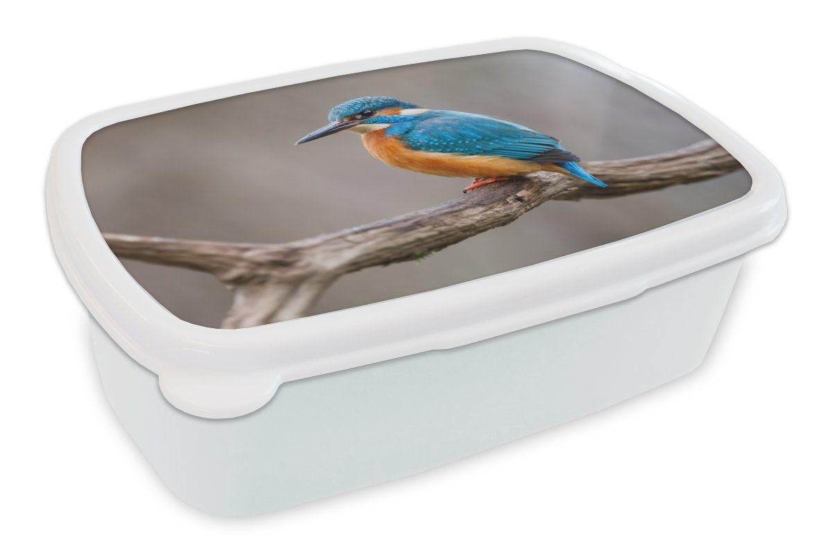 MuchoWow Lunchbox Brotdose, Brotbox und Jungs - weiß Erwachsene, für Zweige für Porträt, Kunststoff, Kinder Mädchen Eisvogel und (2-tlg), 
