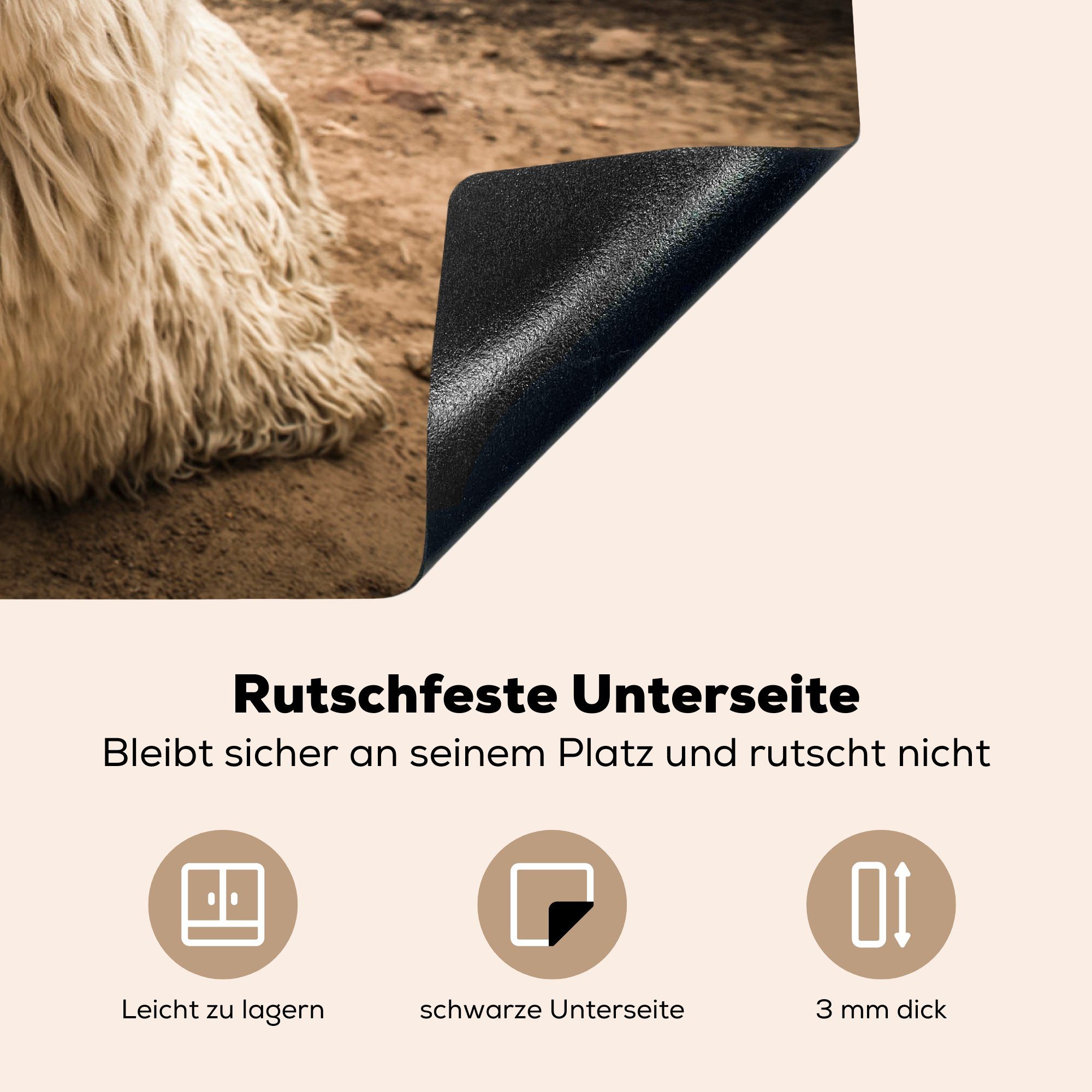 ruhen cm, küche, Vinyl, die von Schutz Ceranfeldabdeckung Induktionskochfeld Lamas aus, 81x52 Herdblende-/Abdeckplatte Arequipa sich Landschaft (1 tlg), in MuchoWow für der