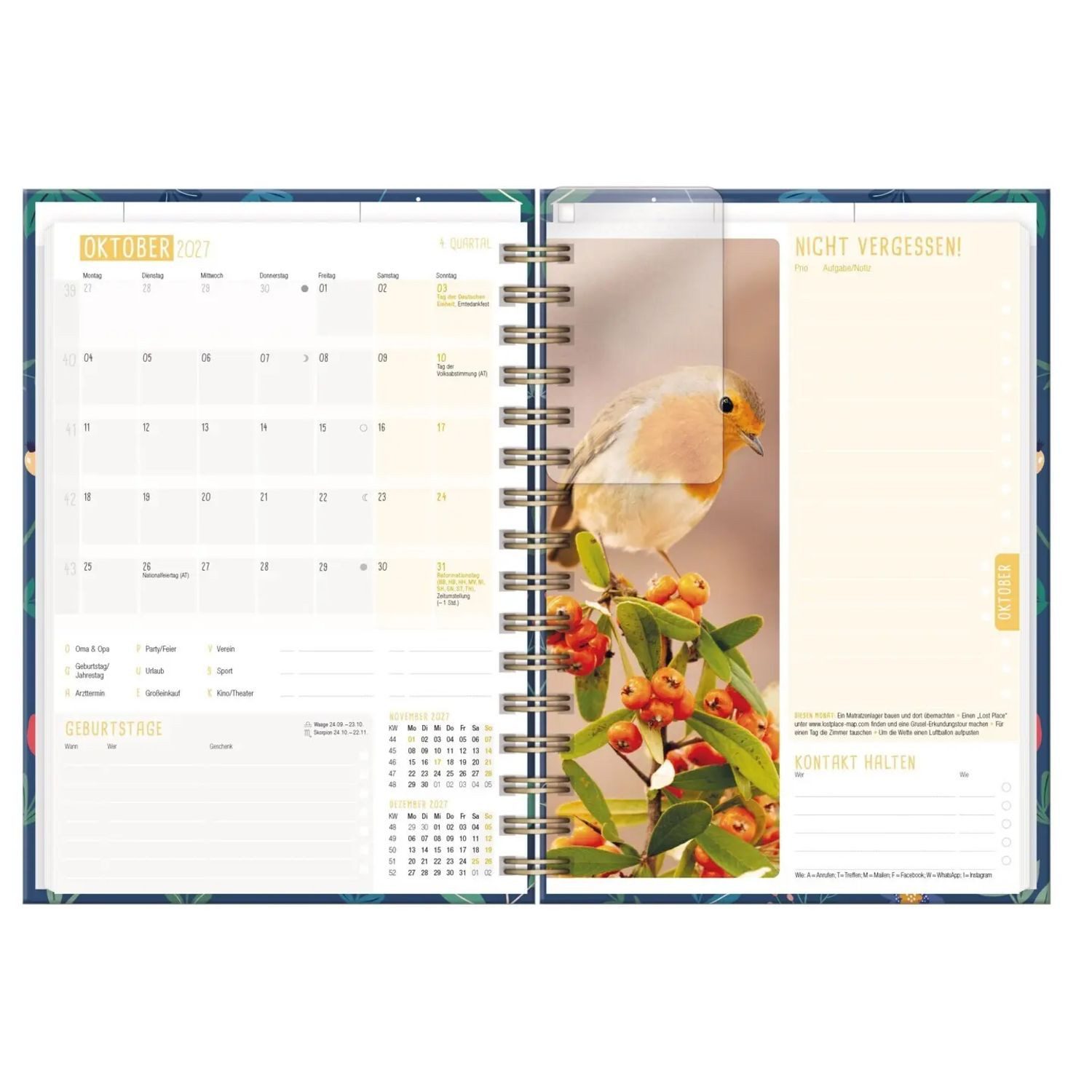 Häfft Familienkalender Family-Timer 26/27 17 Monate [Mondscheinblüten] EM