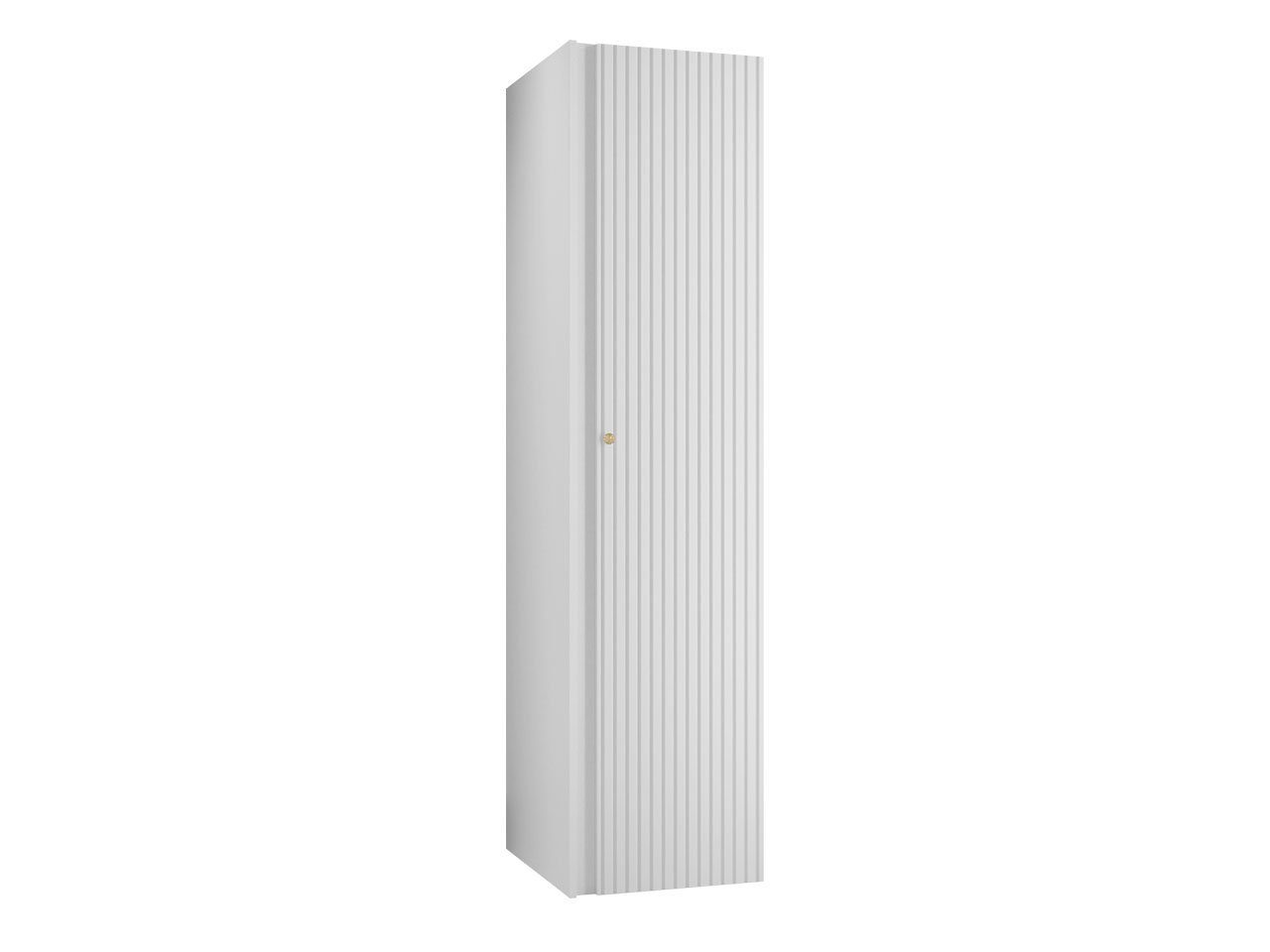 MIRJAN24 Kleiderschrank Orion Ryfel Slim 1D günstig online kaufen