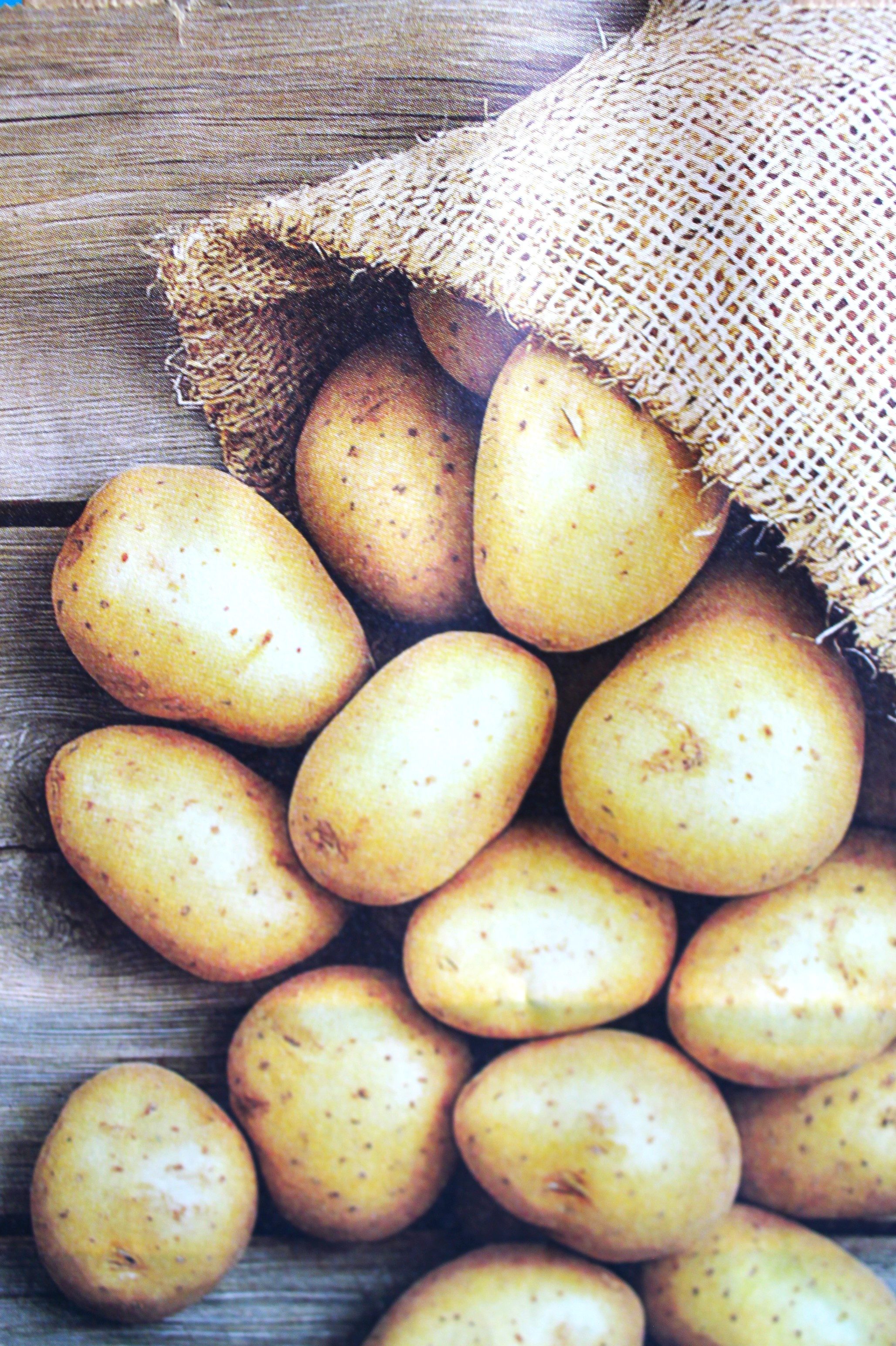 Tragetasche Papiertragetasche braun, "Kartoffeln" 90g/qm, 18 + 8 x 22 cm, nassfest (10-tlg)