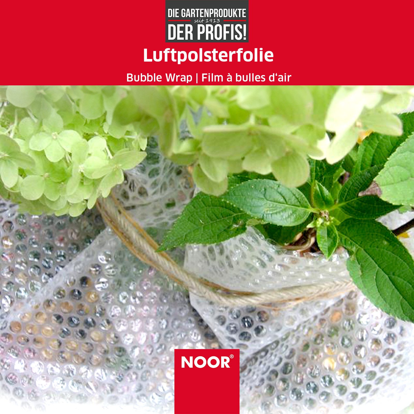 NOOR Schutzpolster Luftpolsterfolie, Luftpolsterfolie mit Noppen - 50 x 300cm - 100x 300cm