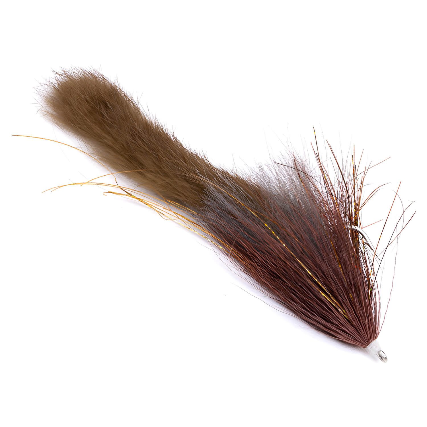 Brown Roach