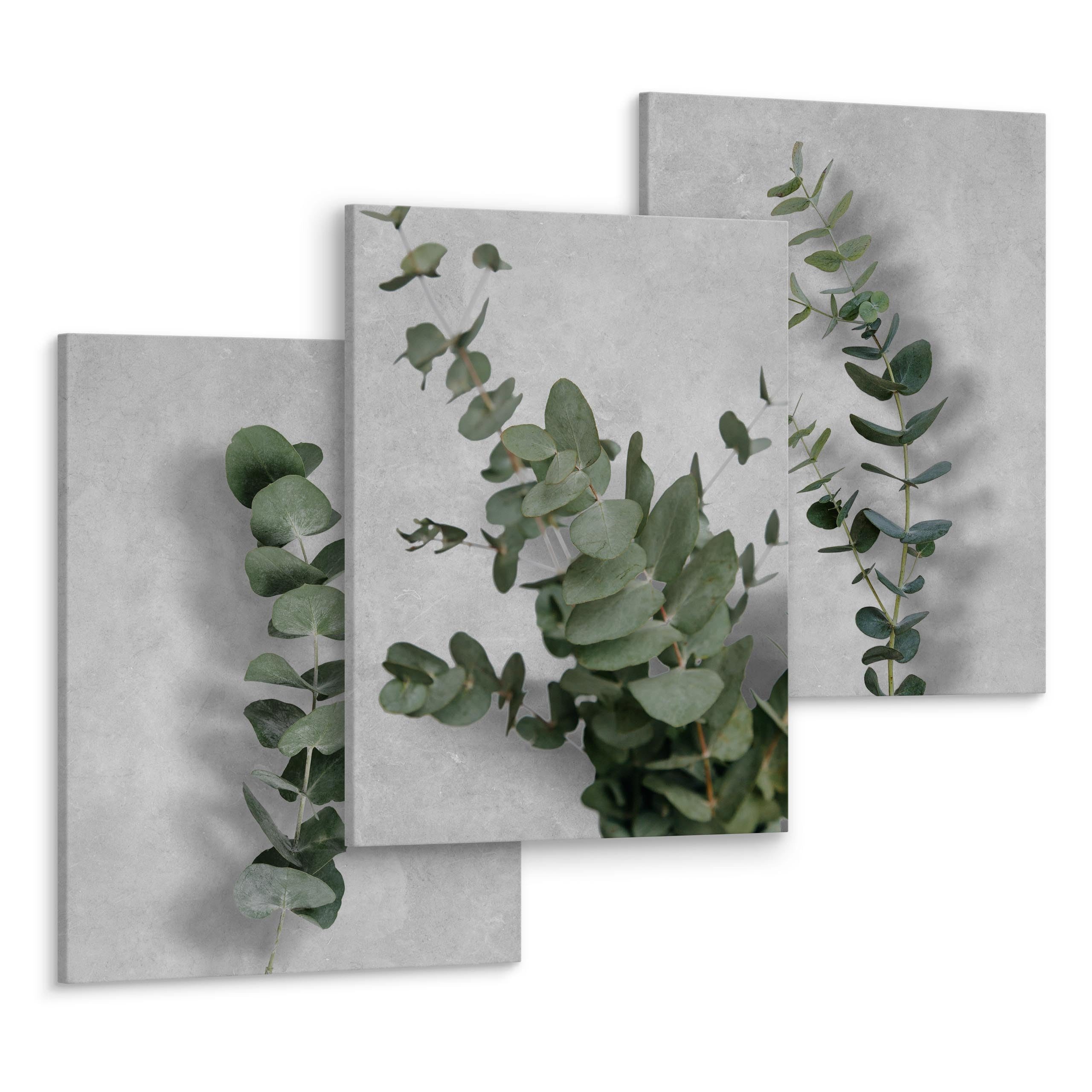 Muralo Mehrteilige Bilder Wandbilder 3er-Set Leinwand Natur – Leinwandbild mehrteilig Wohnzimmer, Natur (Set, 3 St), 3x 30x40 cm – Grüne Blätter, aufhängefertig, Holzrahmen